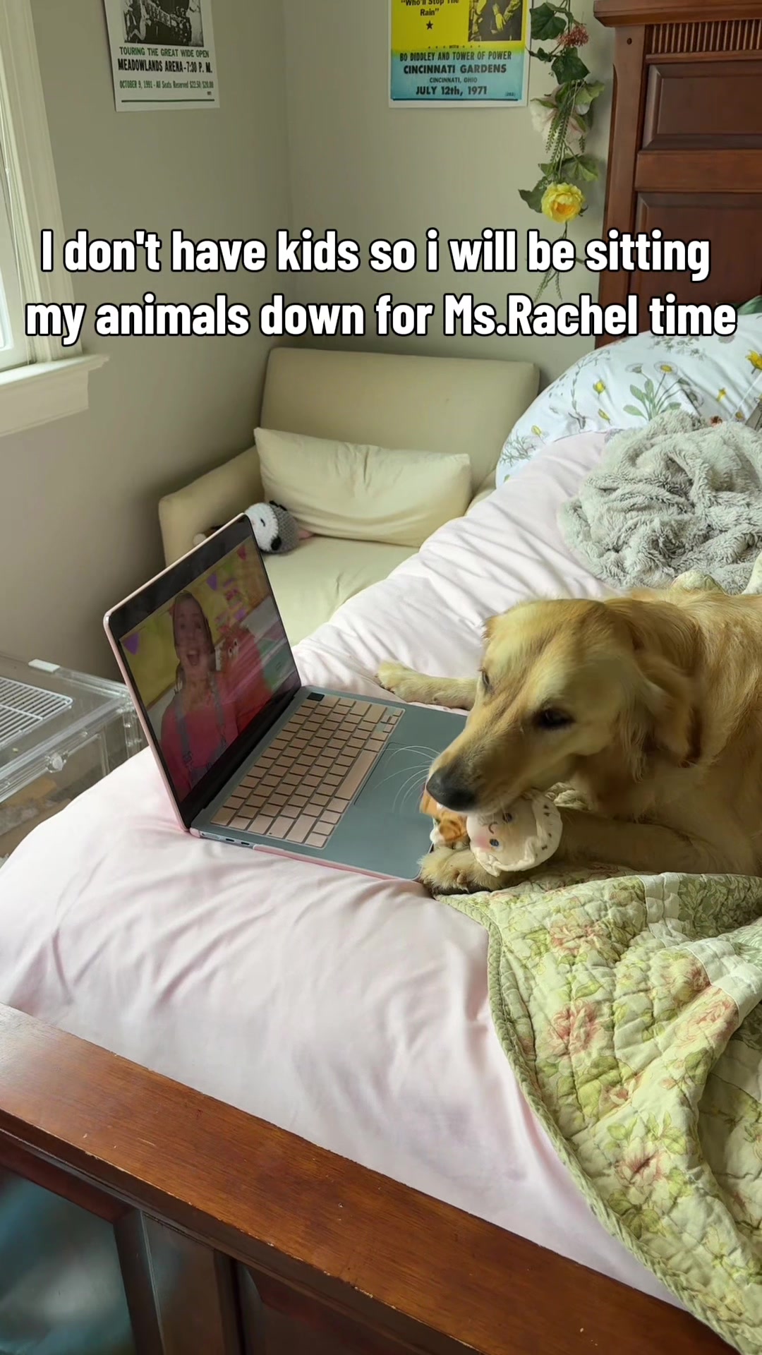 @thatweirdanimalgirl