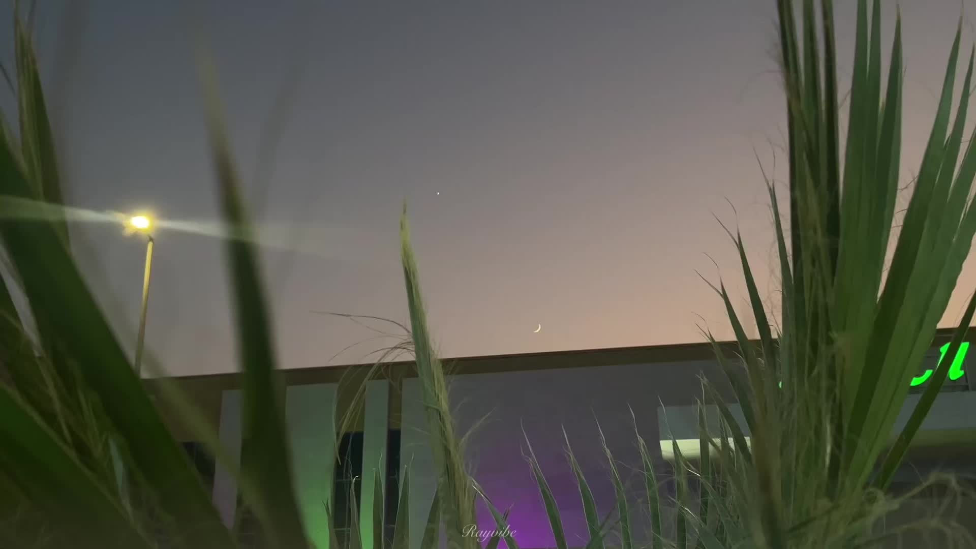 @rayvibe