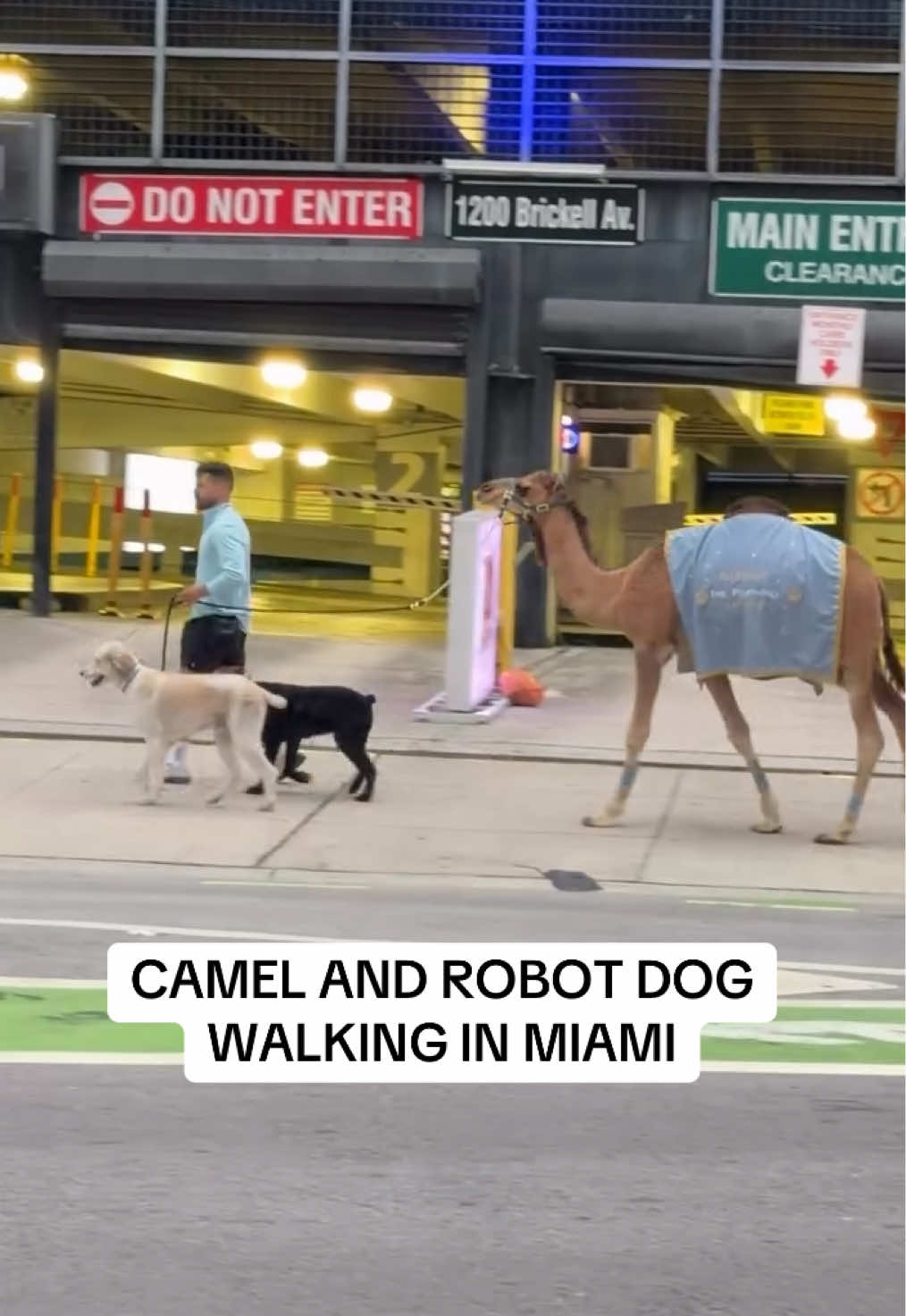 @Miami | Miami Beach