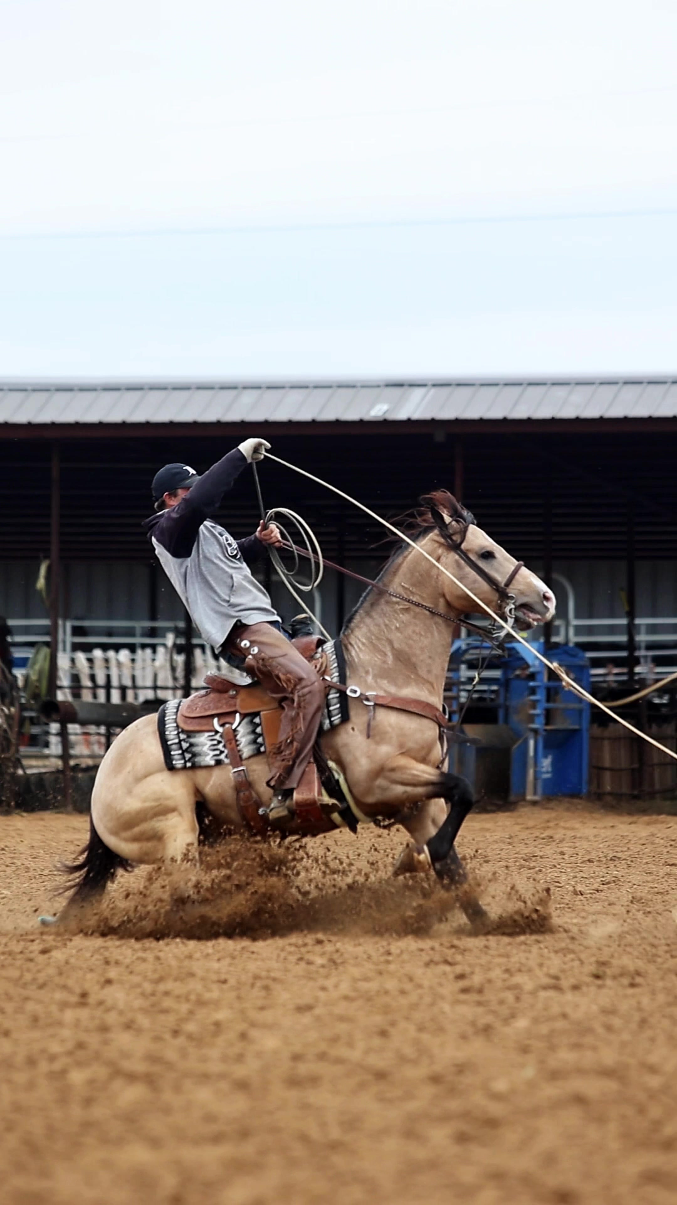 @Spickelmier Performance Horses