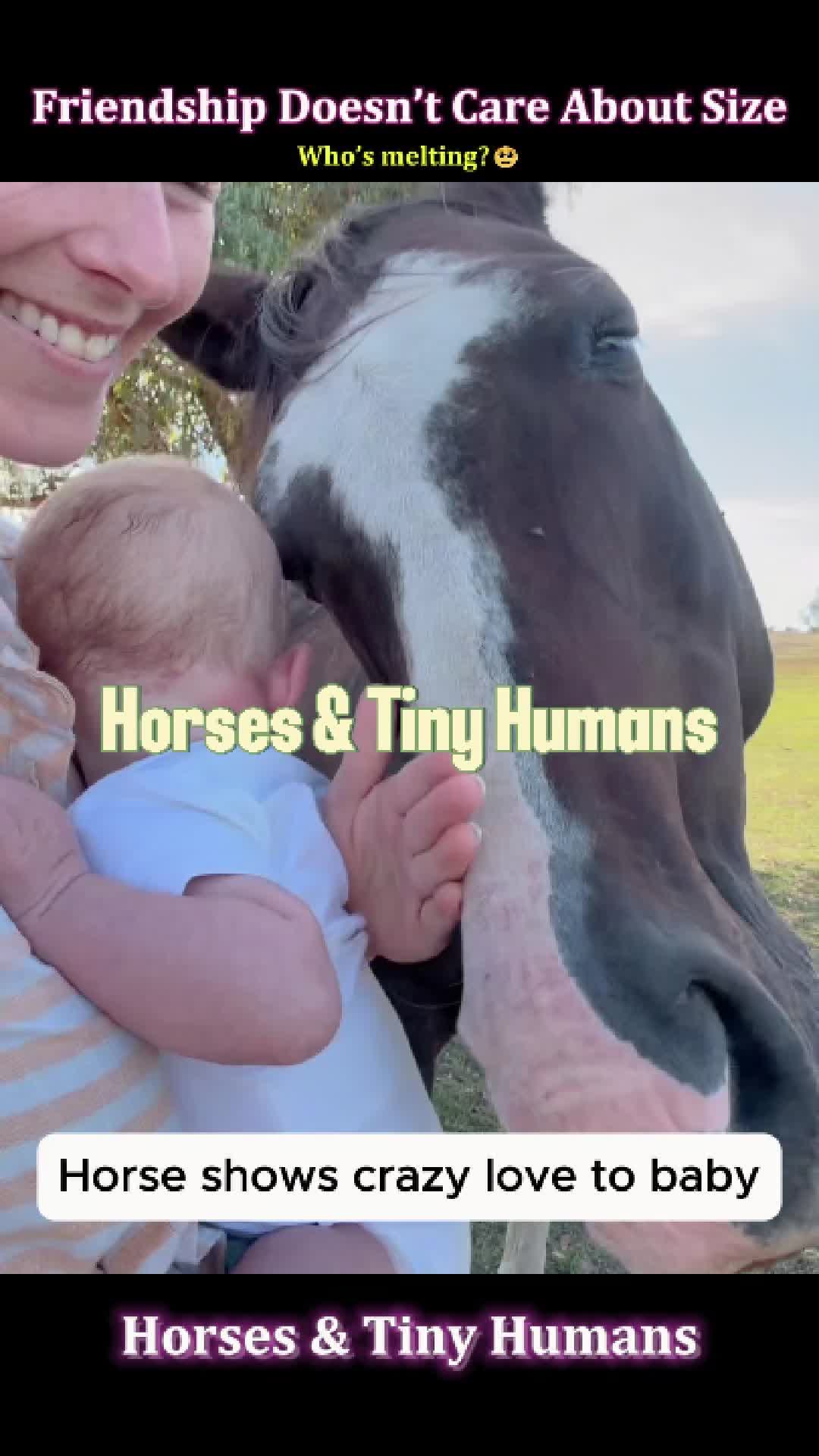 @Pet.humor5.USA