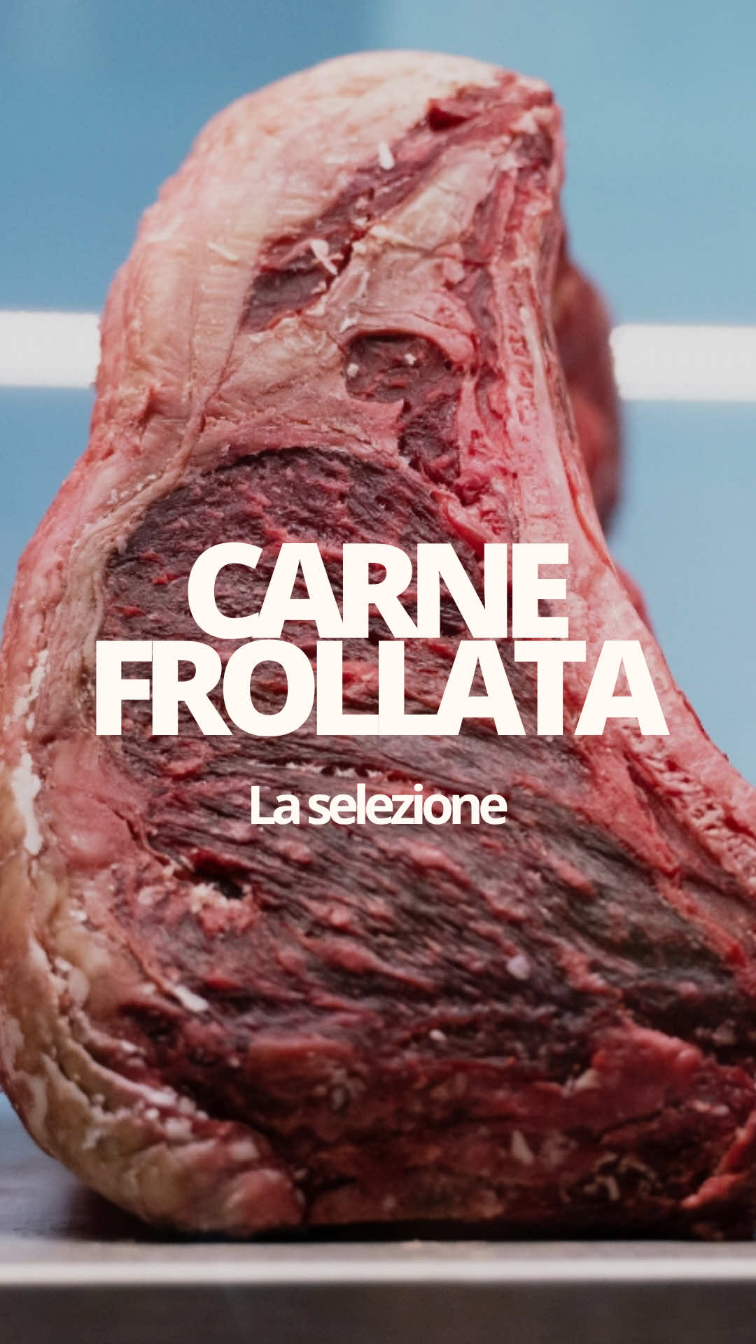@Casearia Serafini