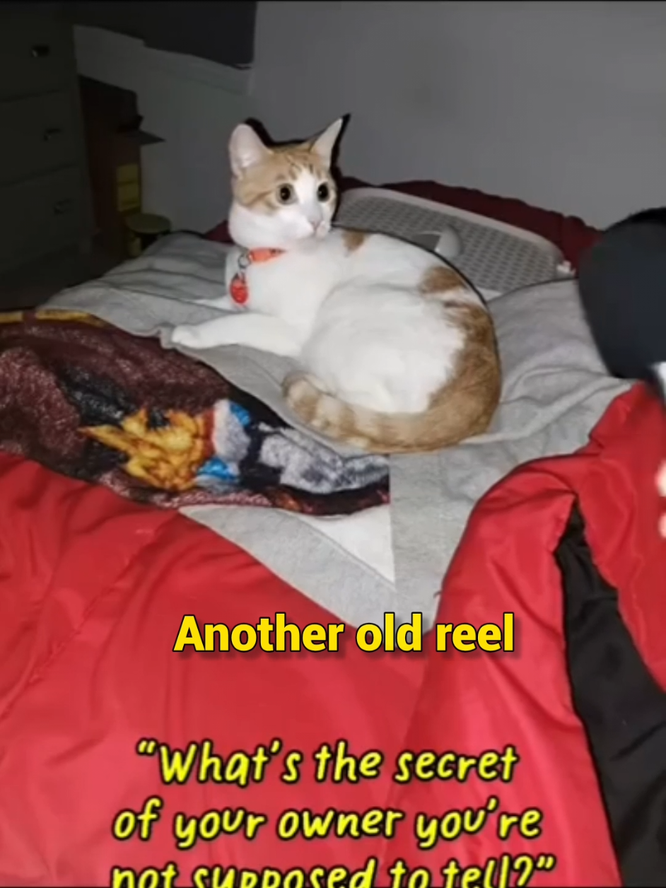 @Candice & Weasley