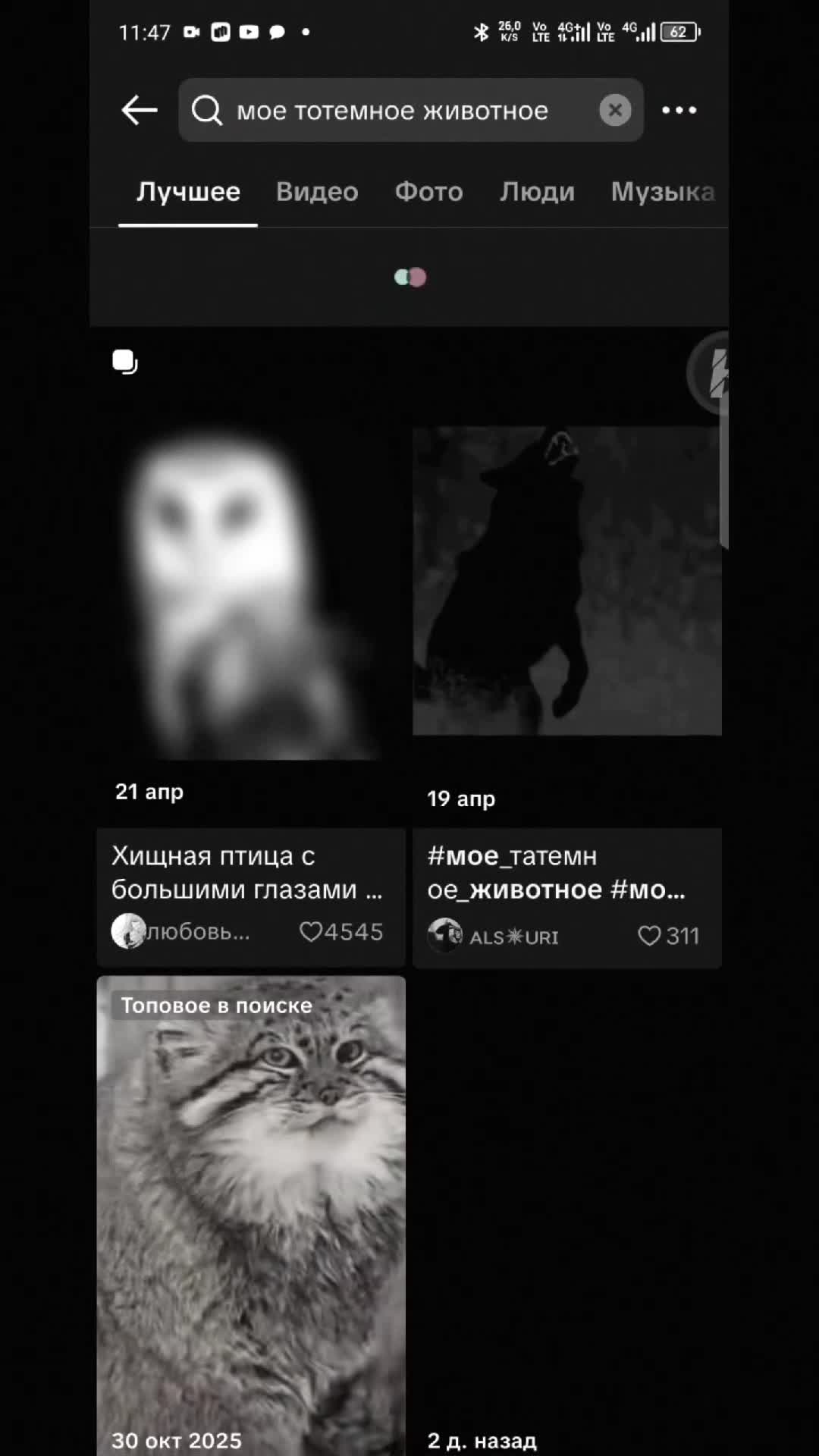 @господин SOKIMIKA