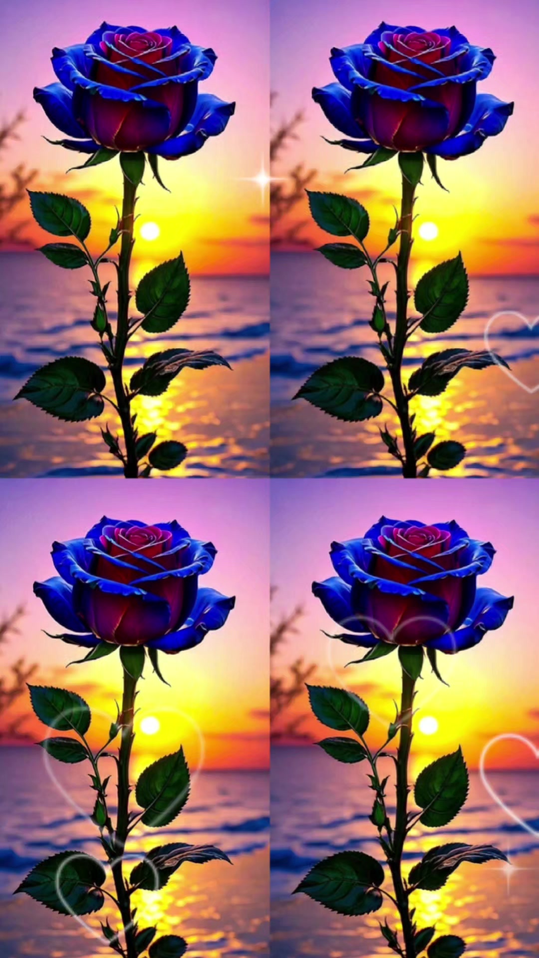 @TURQUEZA โ๏ธ๐โ๏ธ๐ฆโ๏ธ๐ฆโ๏ธ
