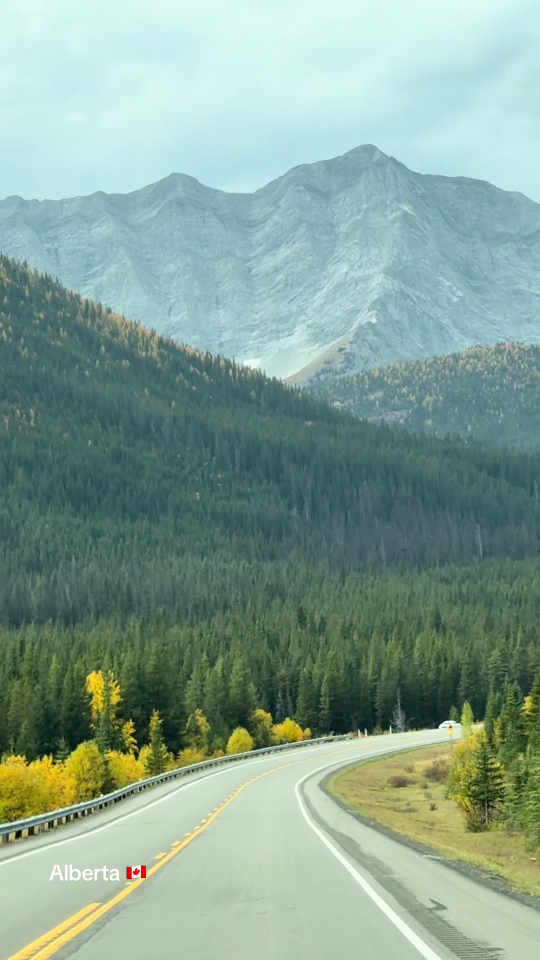 @Ada 🇨🇦