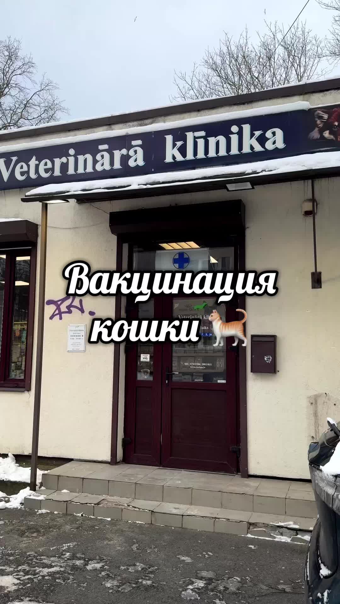 @Альона Давиденко