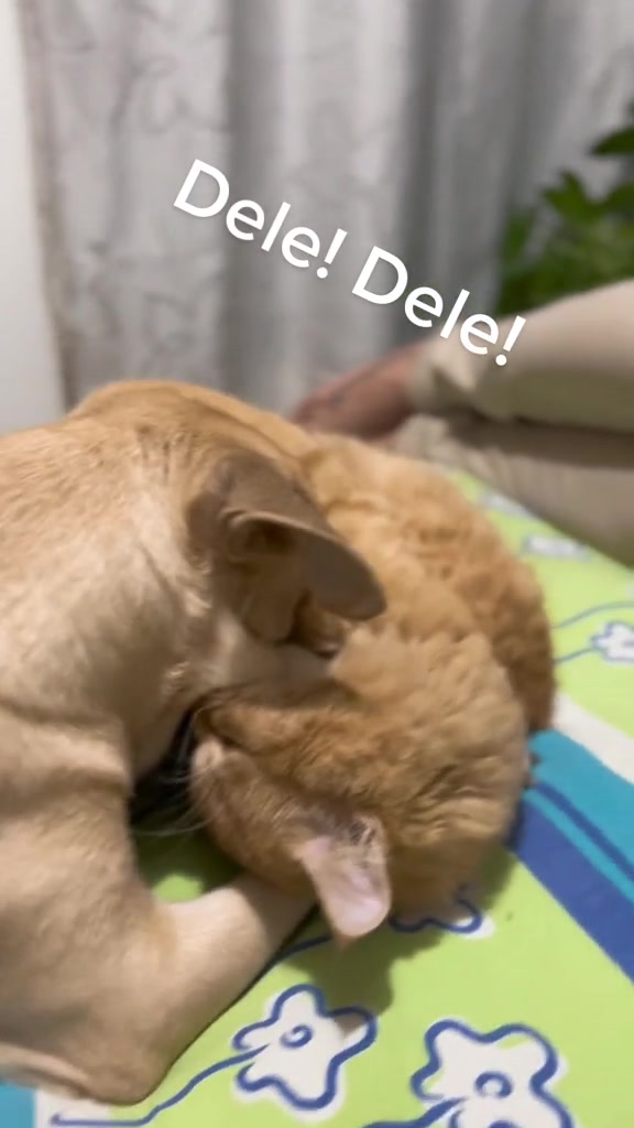 @Chef Sebastián Carvajal