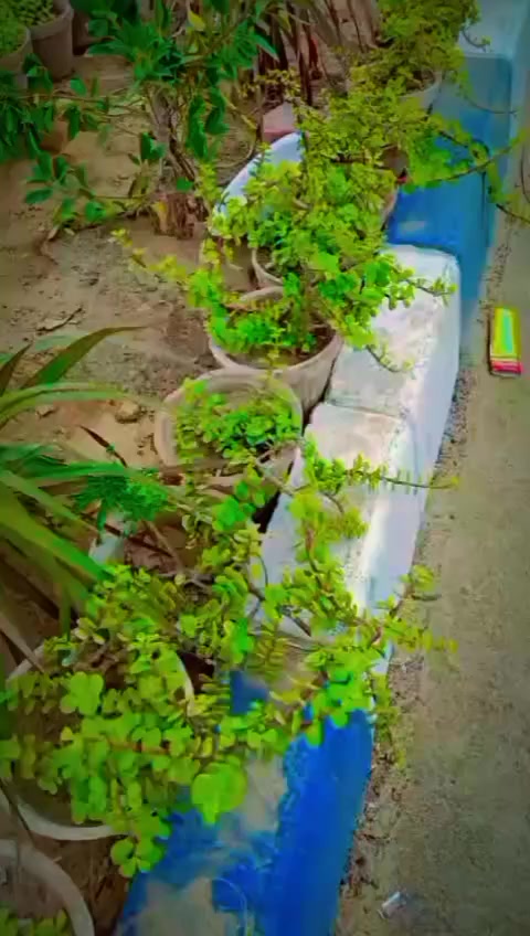 @M hassan 786