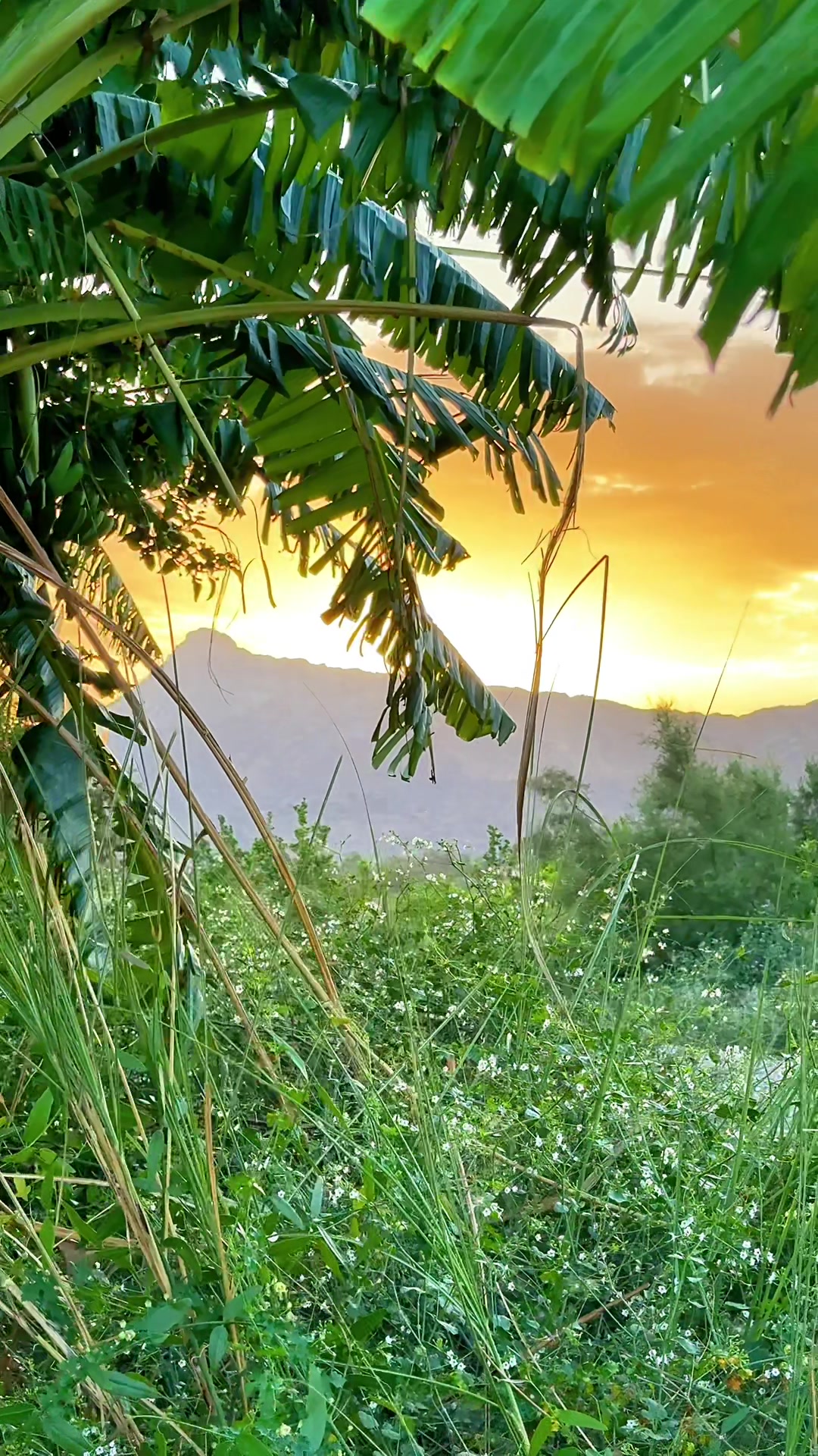 @رِجْم 📸