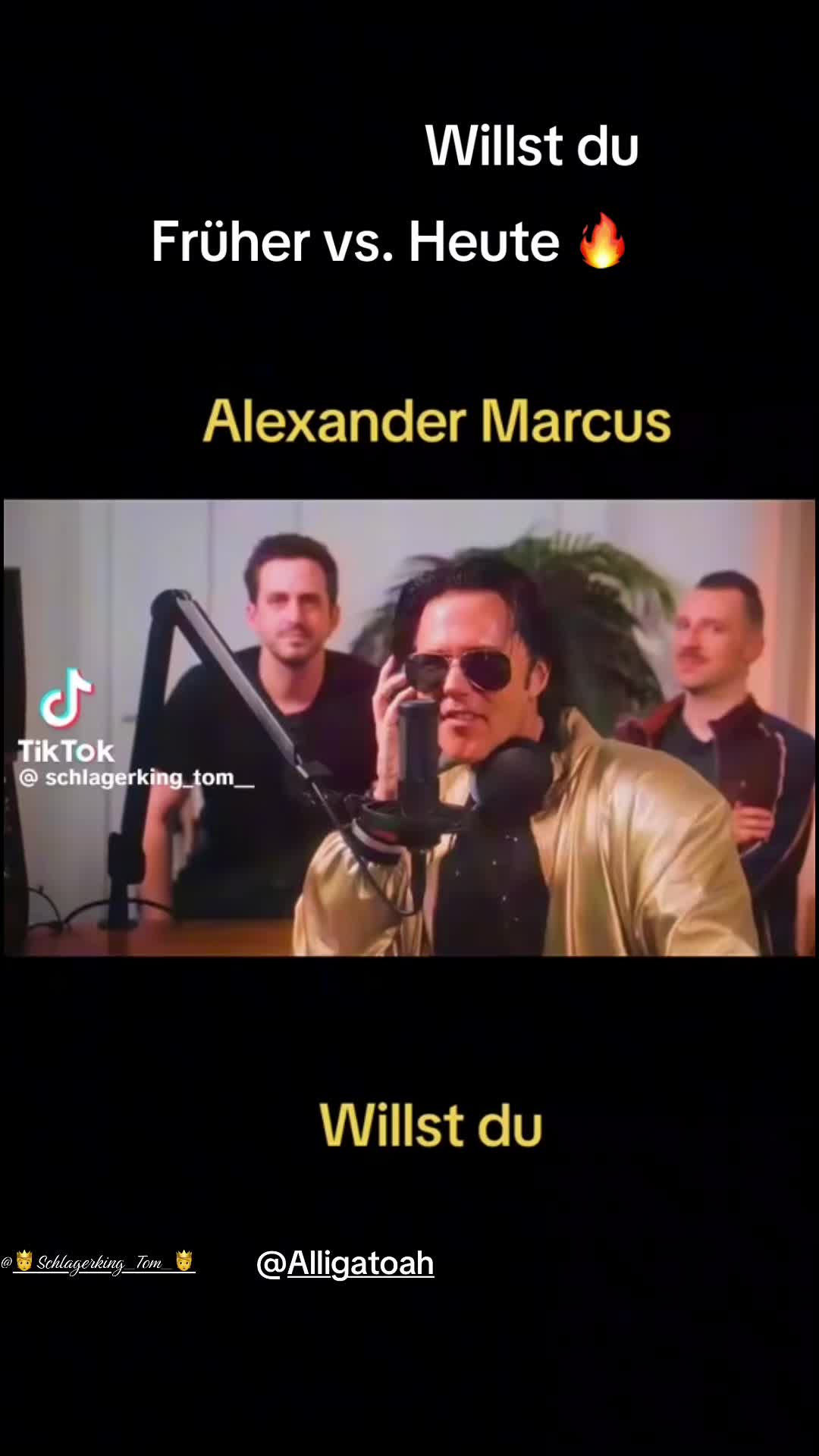 @_vivi.wse_
