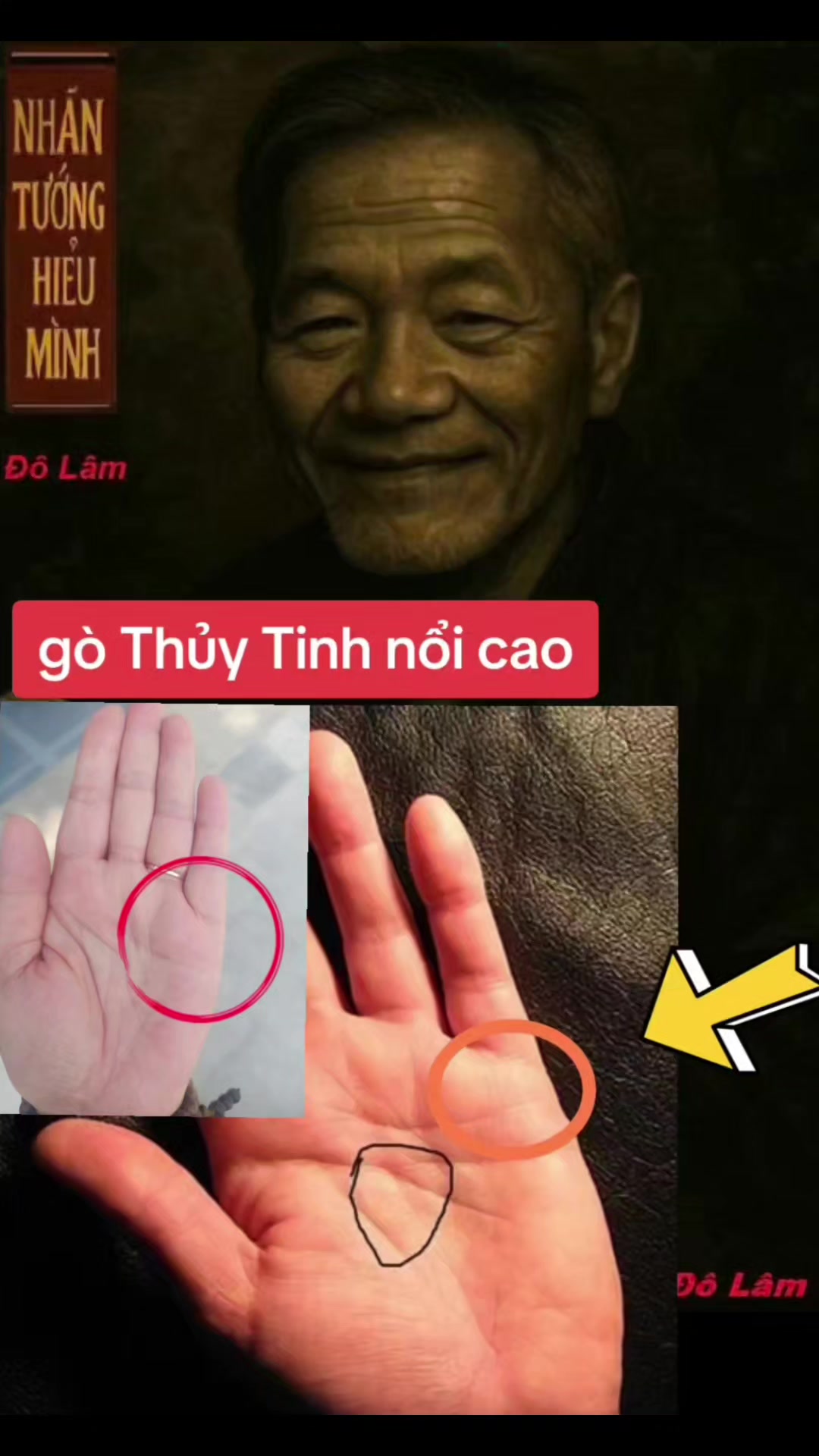 @Nhân Tướng Hiểu Mình