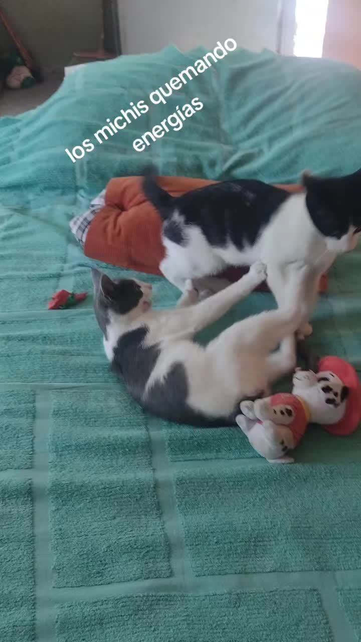 @Juank🇦🇷