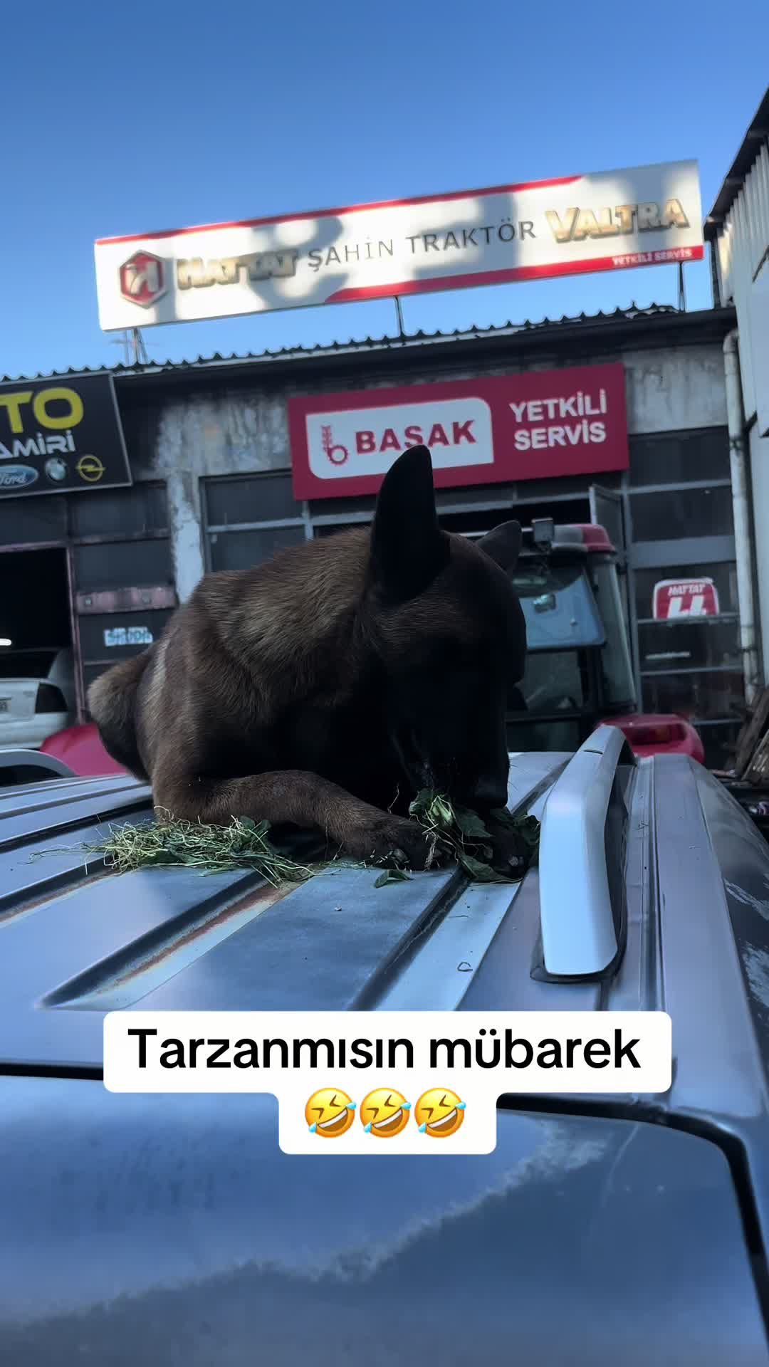 @ertuğrul