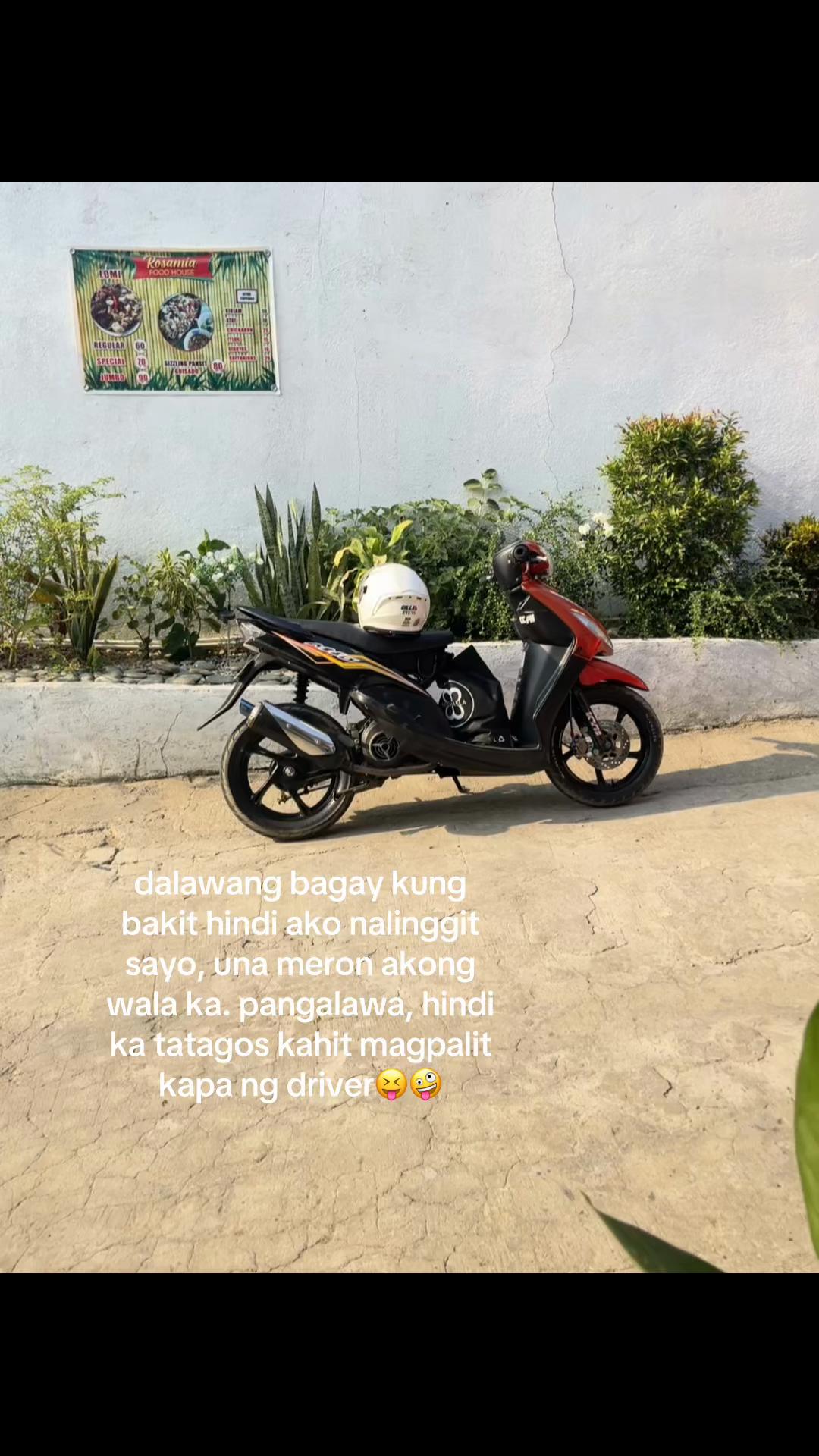 @PALYADONGGEN1