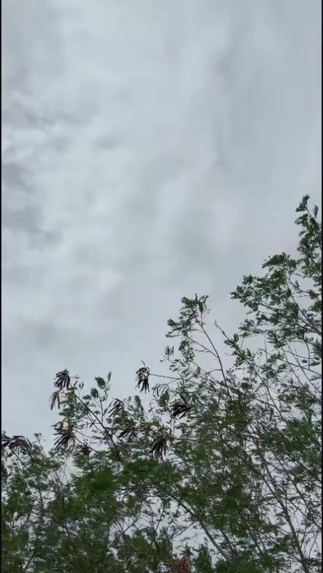 @🕷.