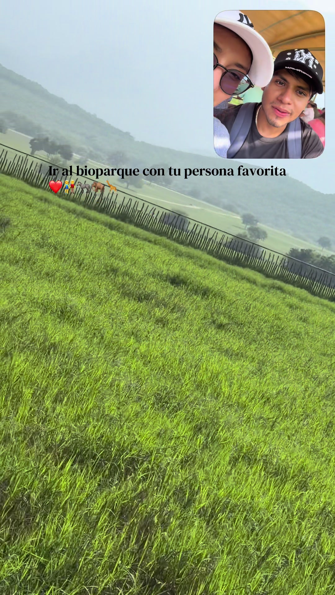 @MaricelaCV