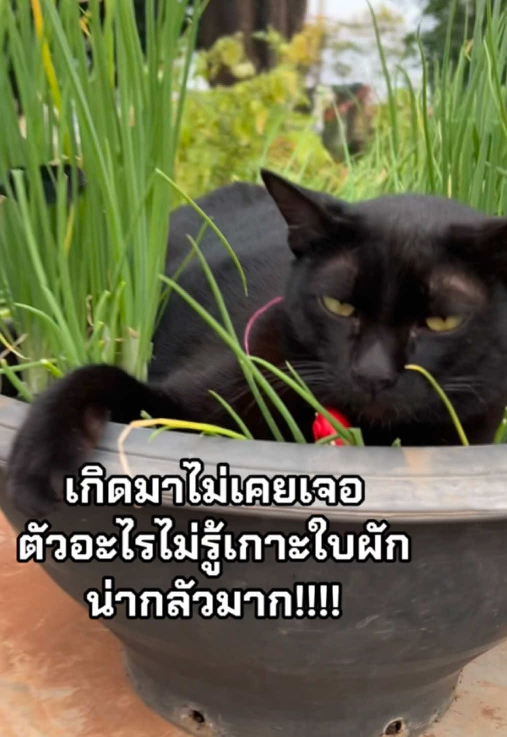 @ชื่อน้องจ้อนค่ะ