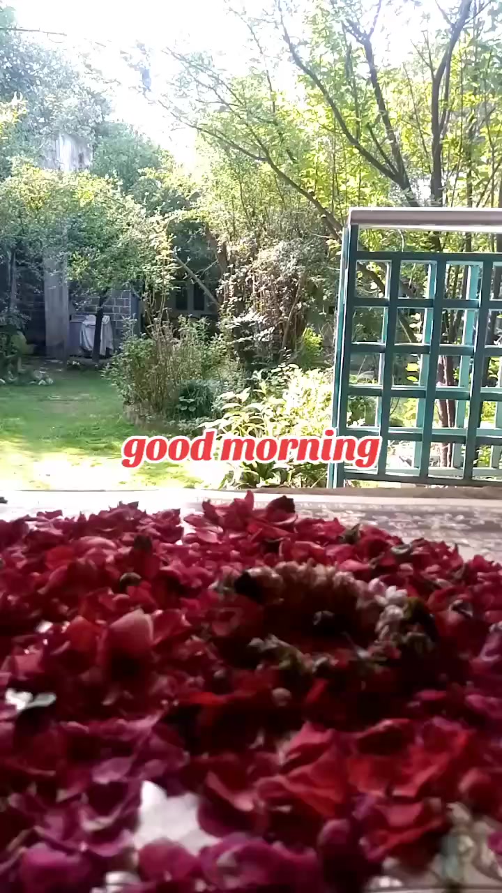 @Rj.Dr shafaq kazmi (Official)