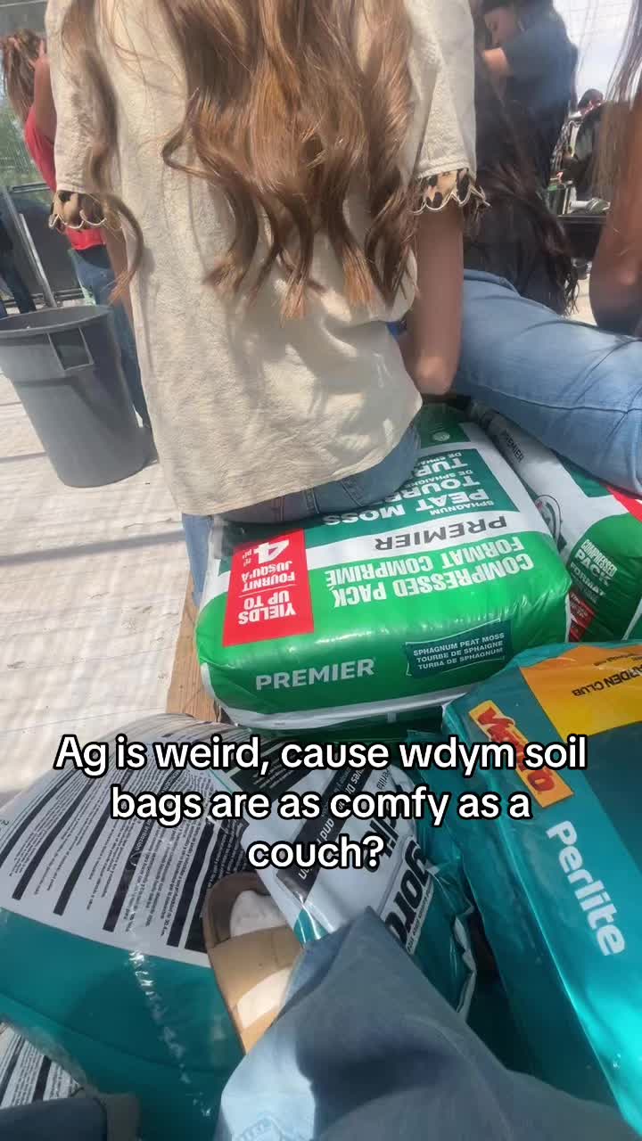@Daisy