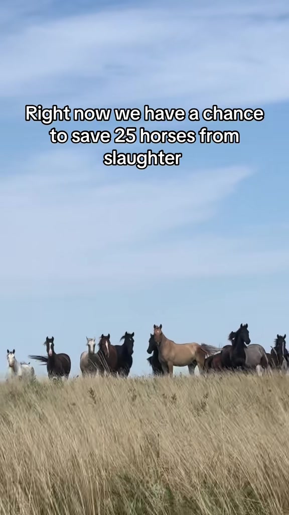@RewildingAmericaNow