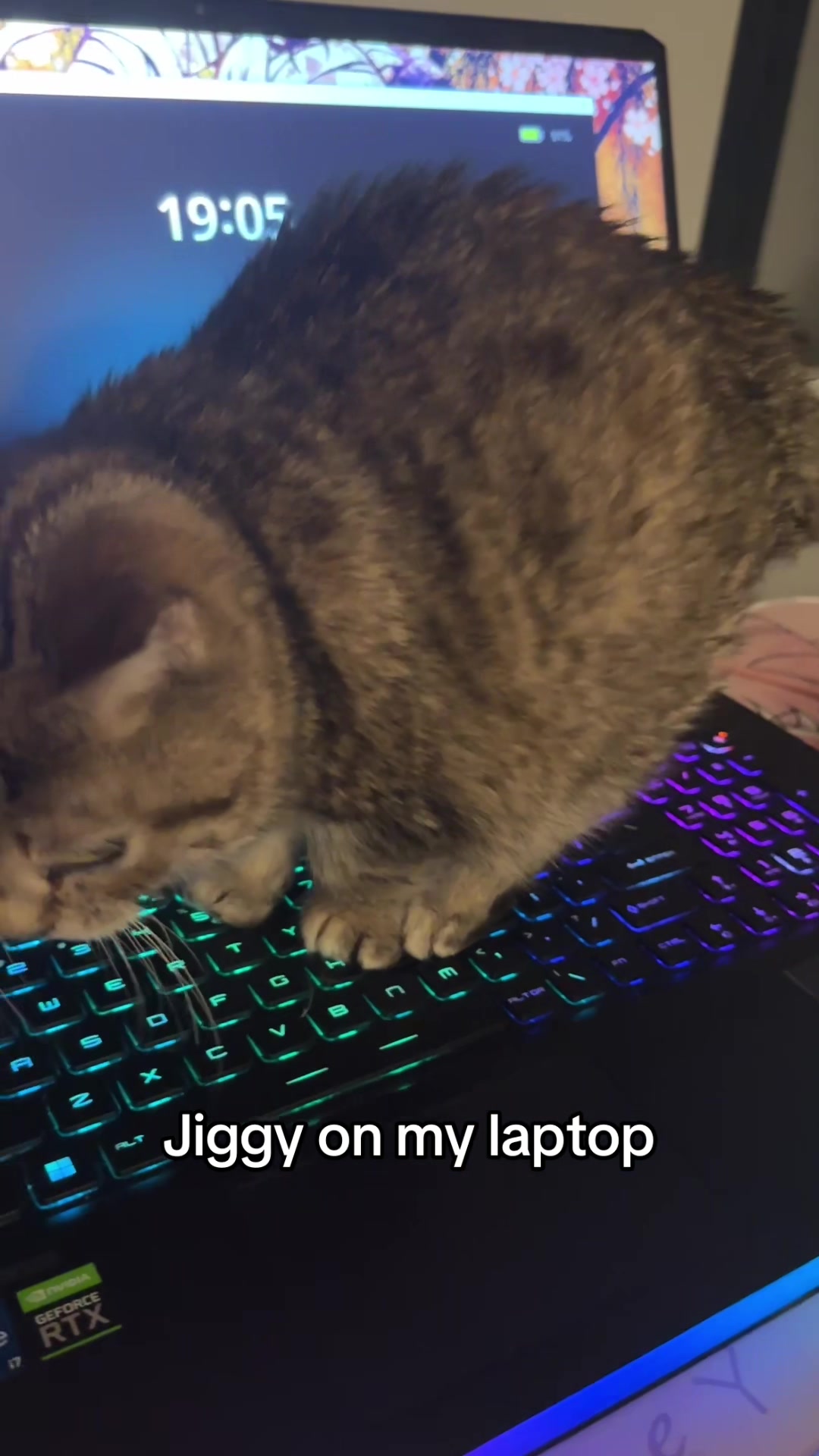 @𝓜𝓮𝓵𝓸𝓭𝔂 & 𝓙𝓲𝓰𝓰𝔂