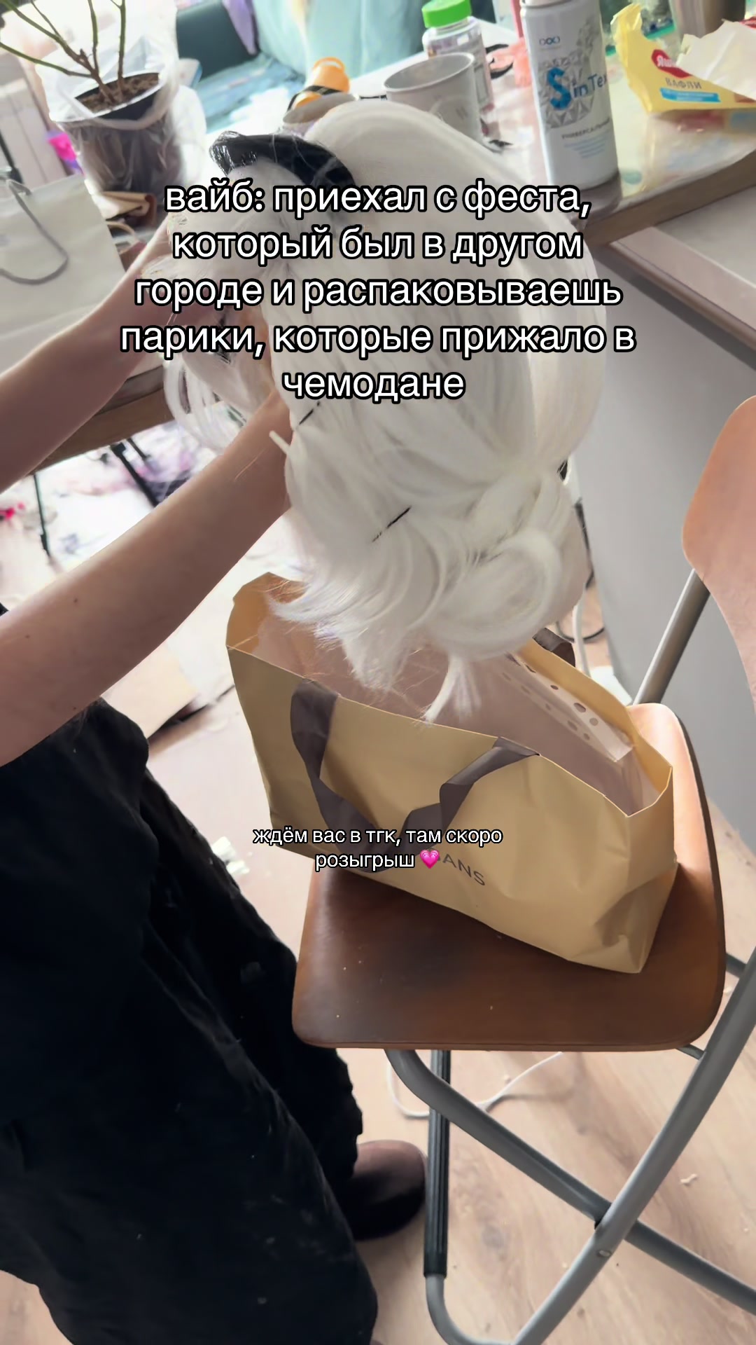@тгк vivien & meowmulia˚✧₊