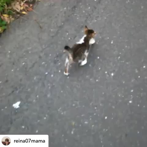 @Reinaママ✂️