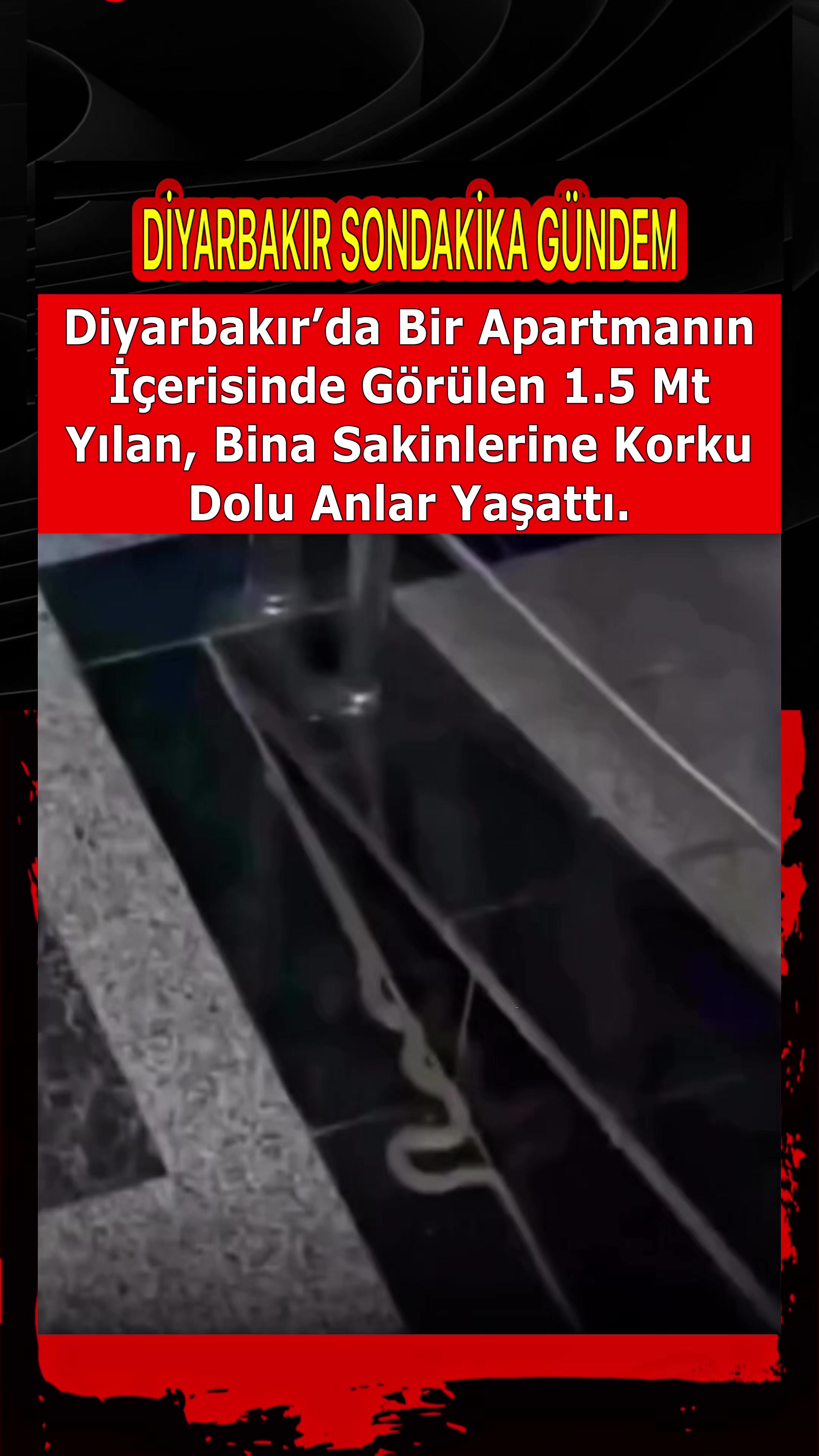 @Diyarbakır Sondakika Gündem