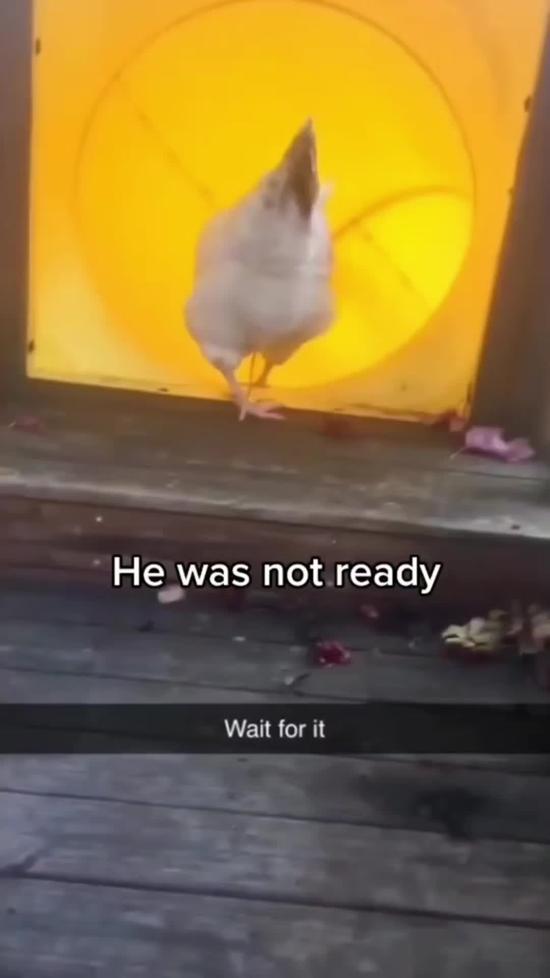 @y0nzs