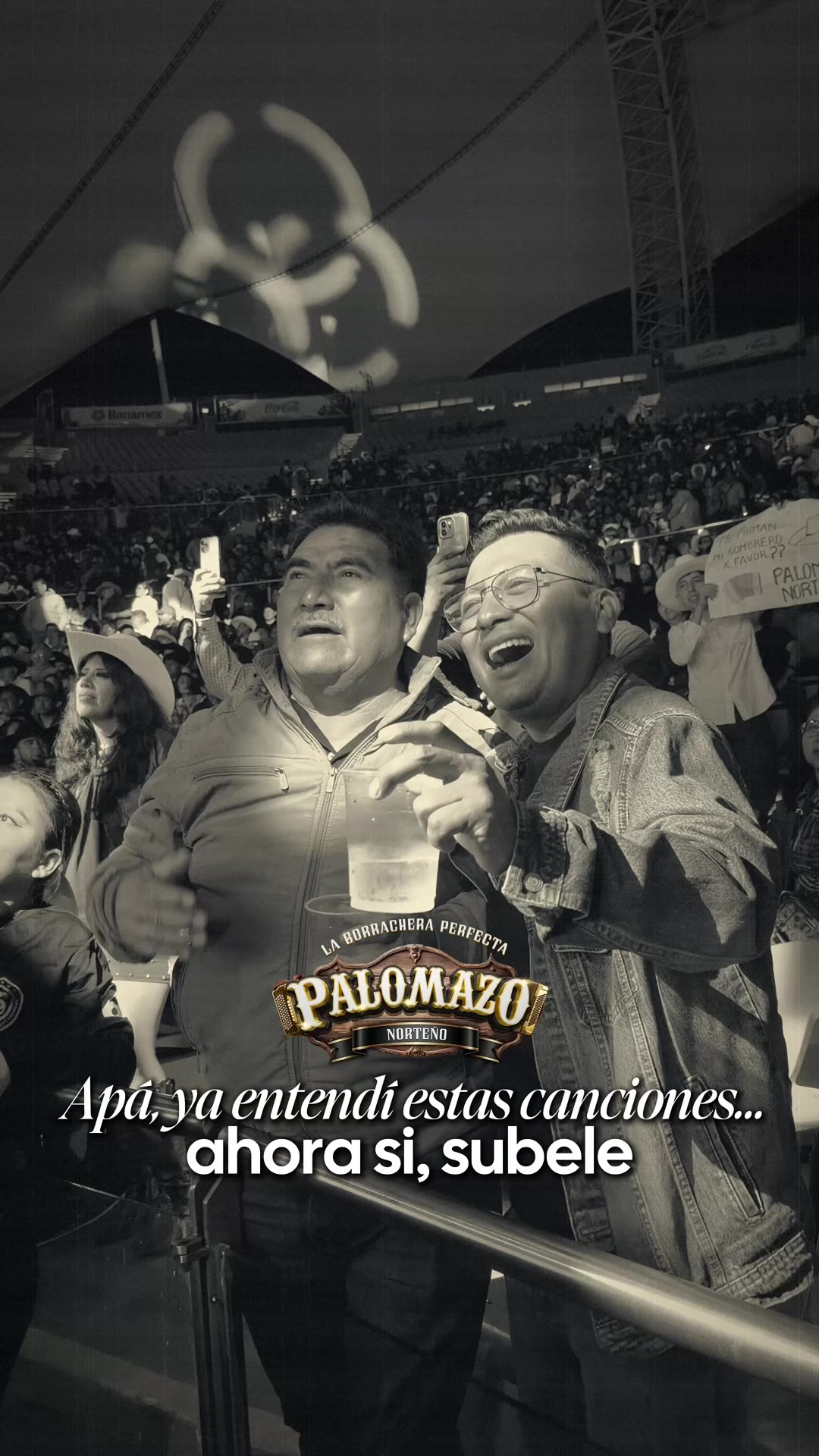 @Palomazo Norteño