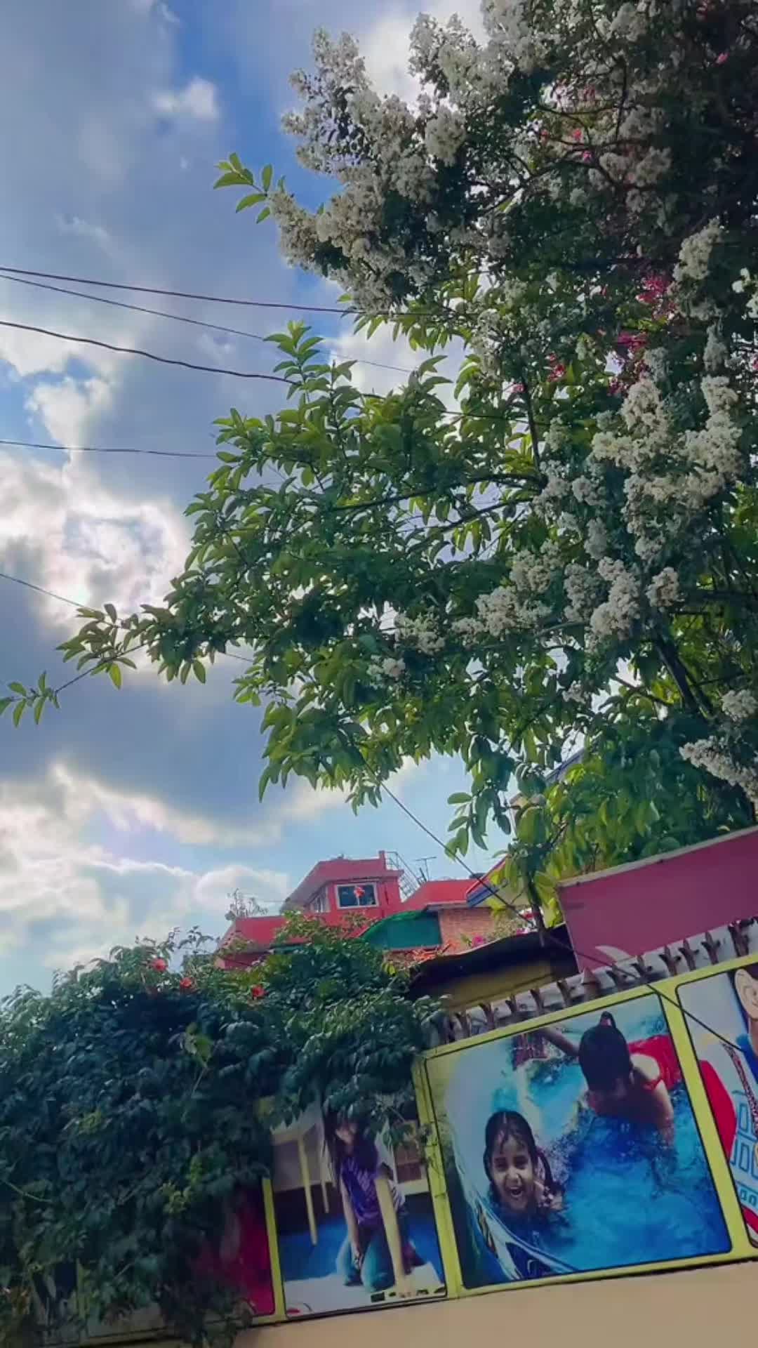 @rupa_shahi01