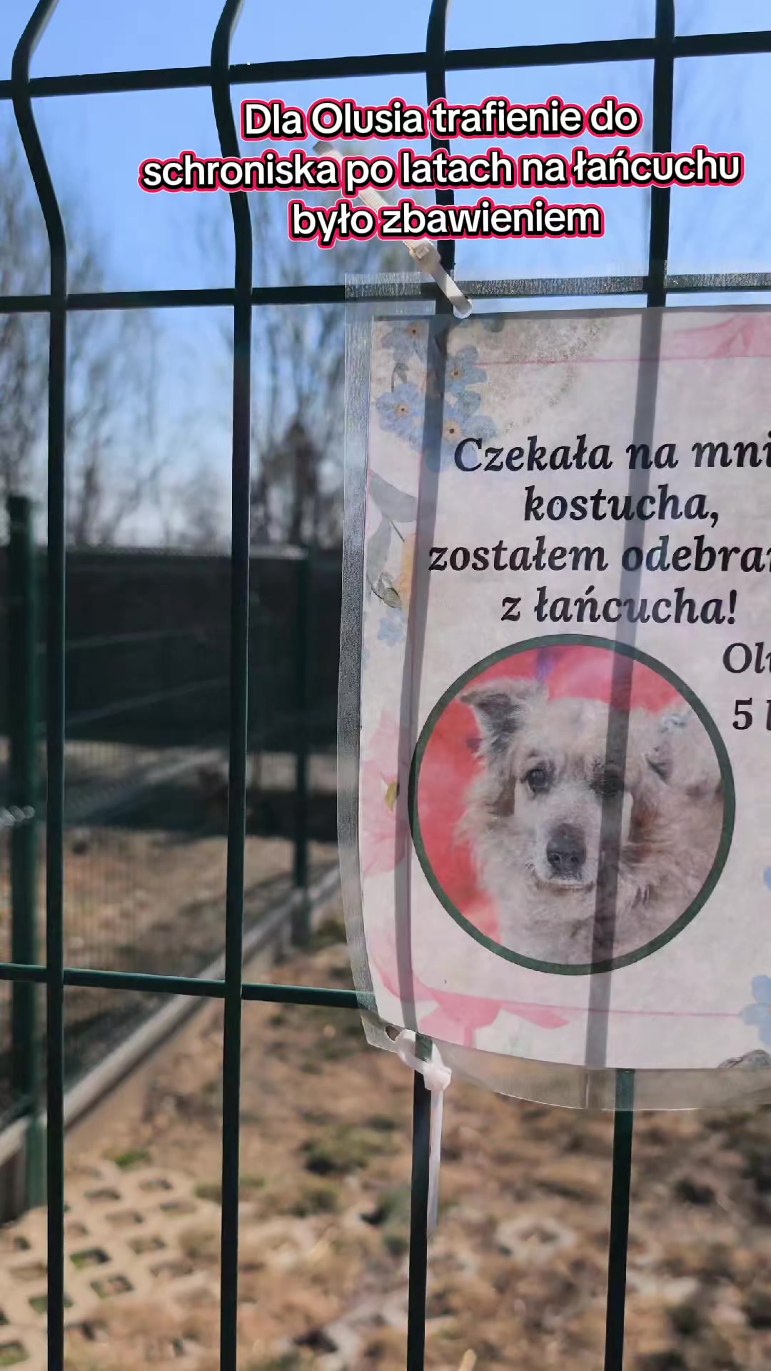 @Bezdomniaki_ze_śląska