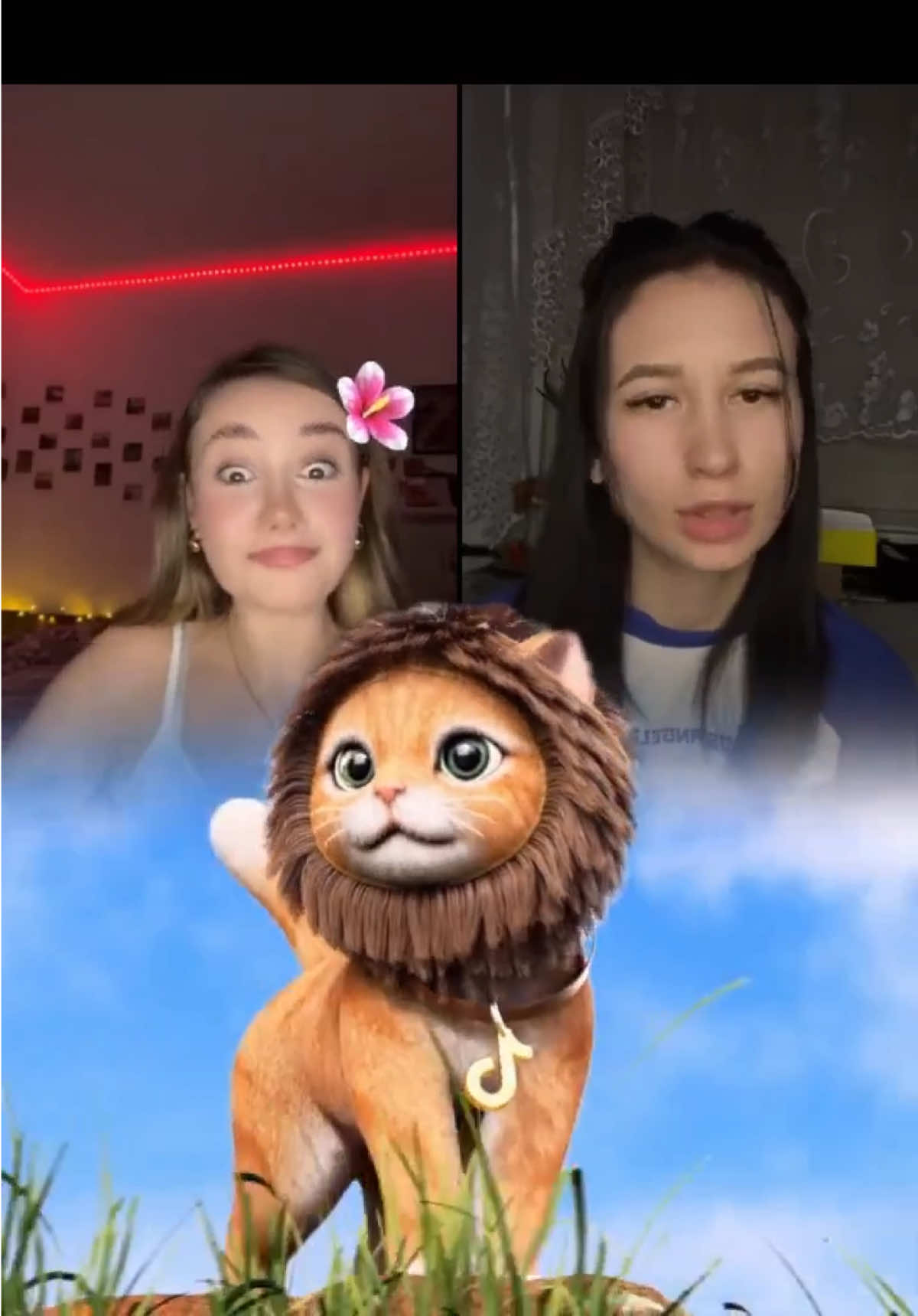 @mini_shef_23