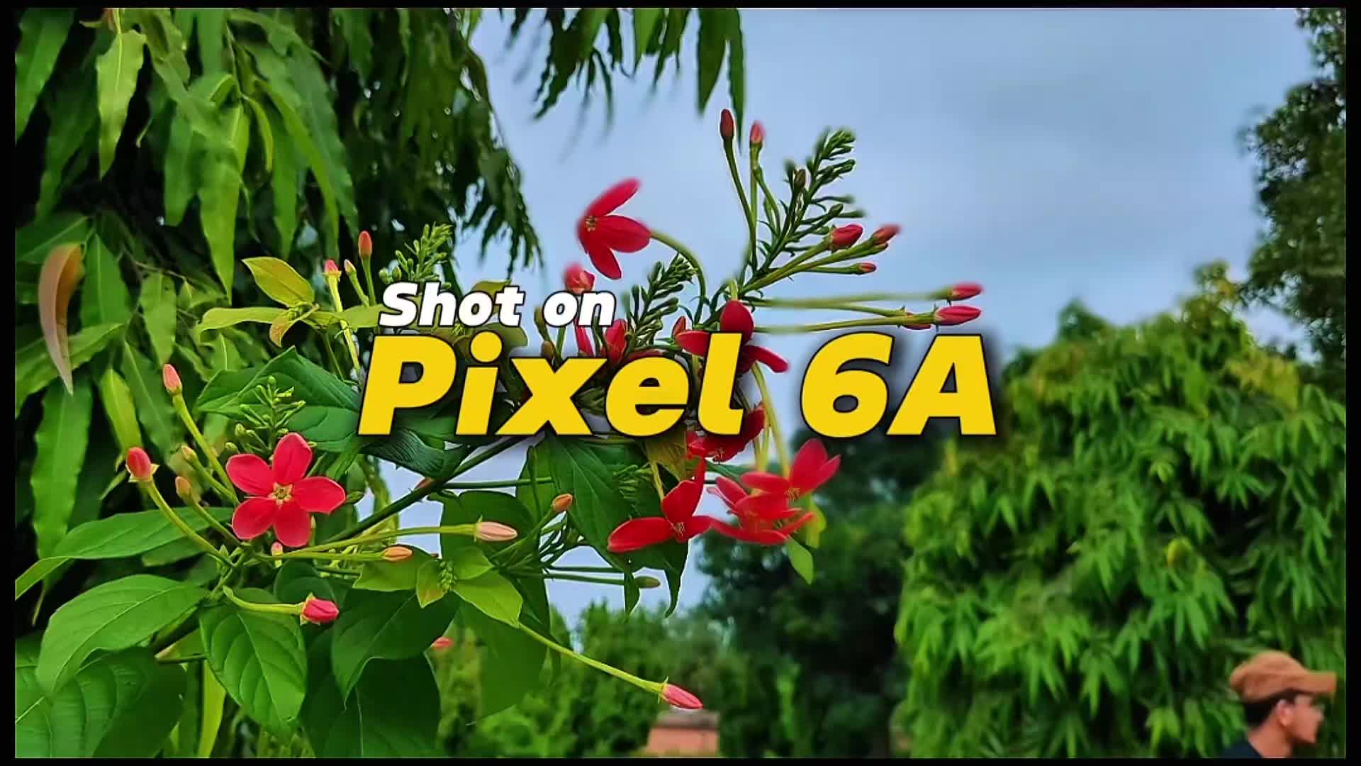 @Salman