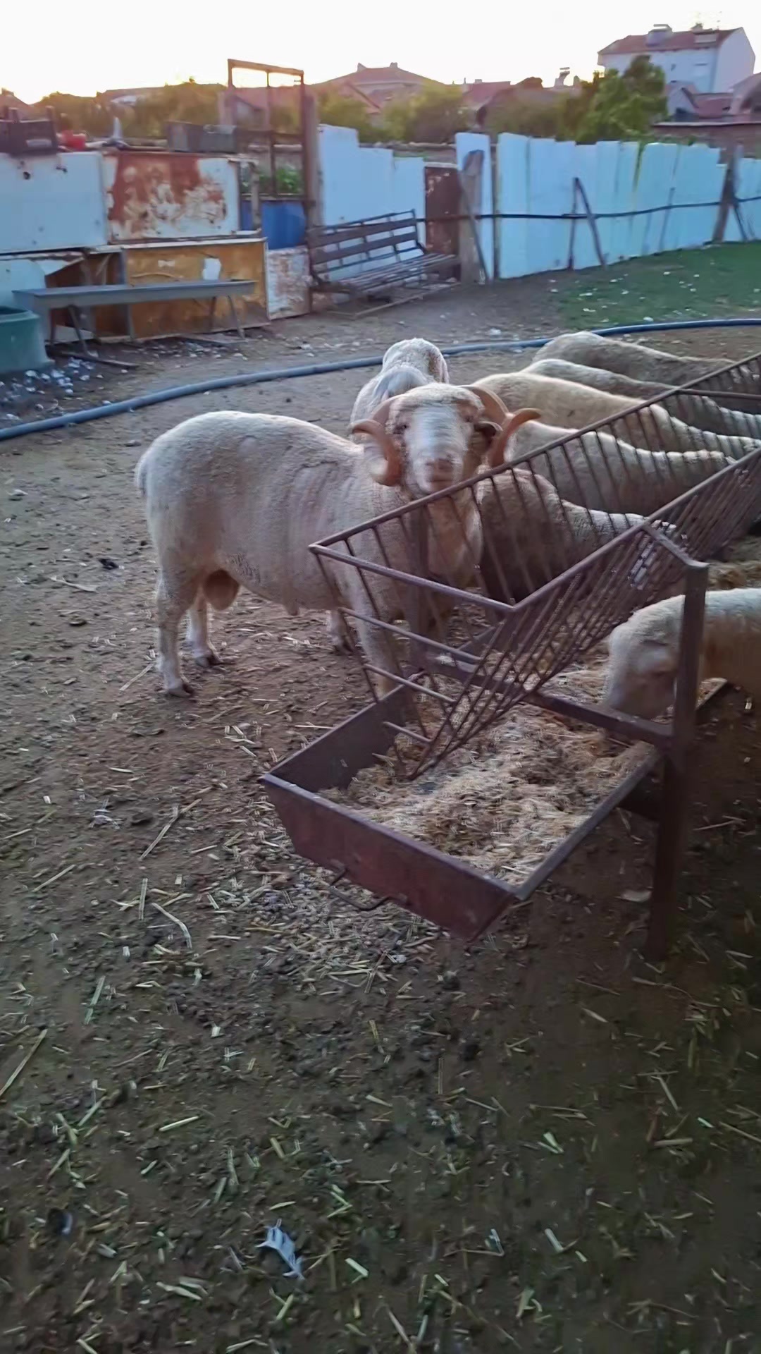 @Abdül Baki Yılmaz
