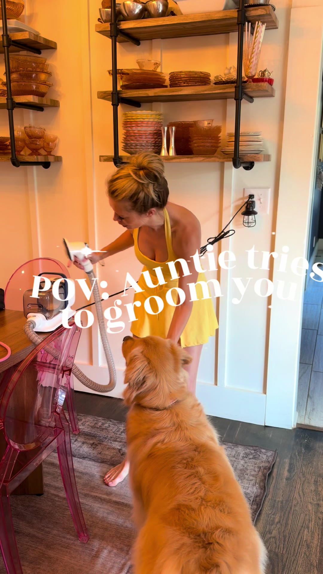 @DogMomisms