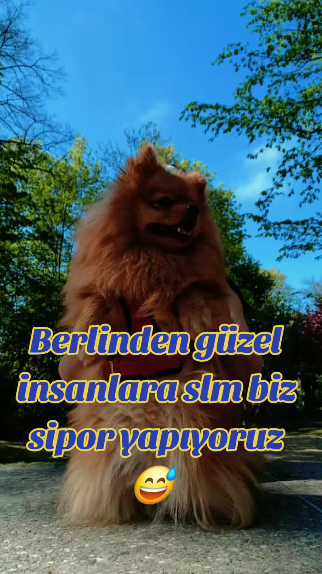 @🪬çiçek🪬