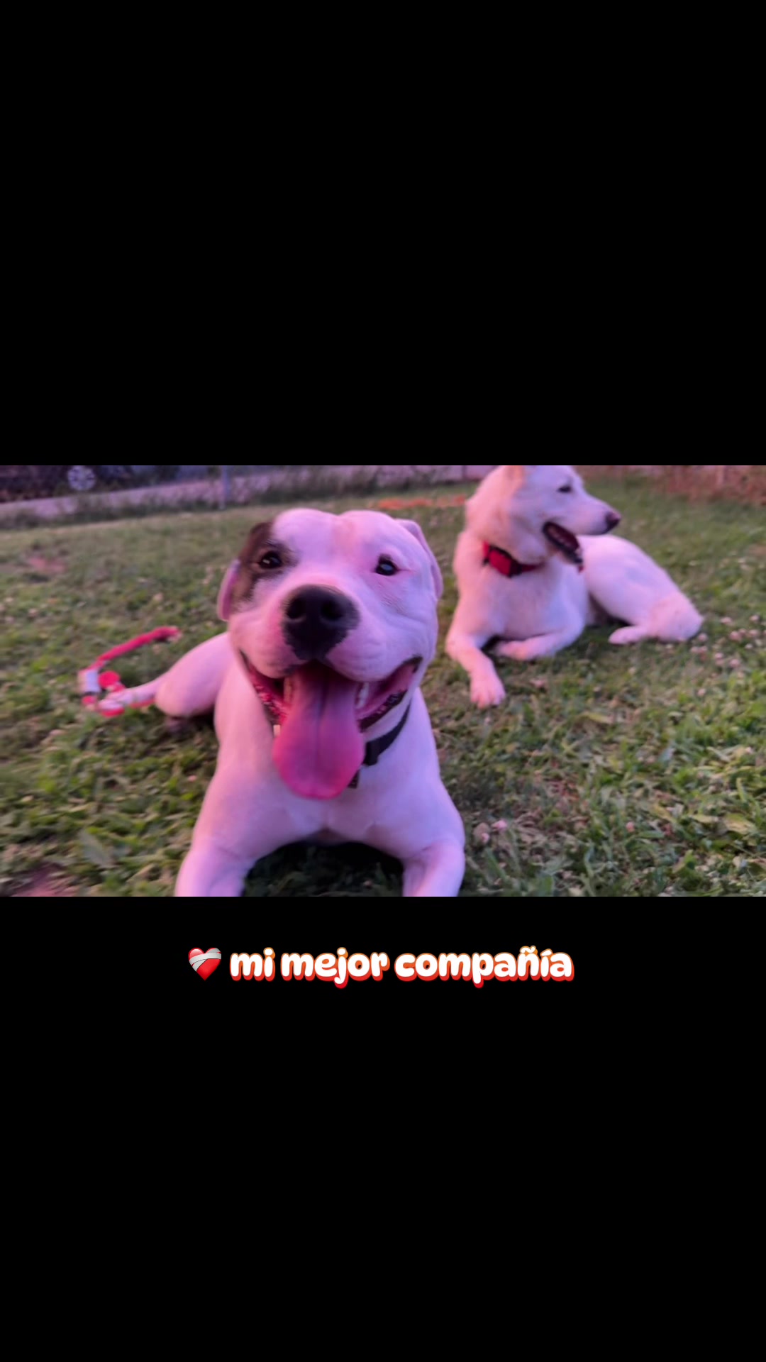 @Katia Diaz