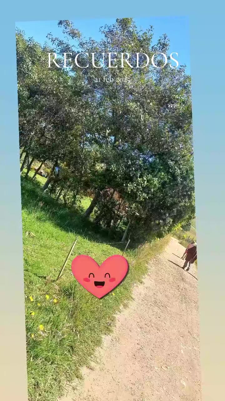 @Juli Rodriguez