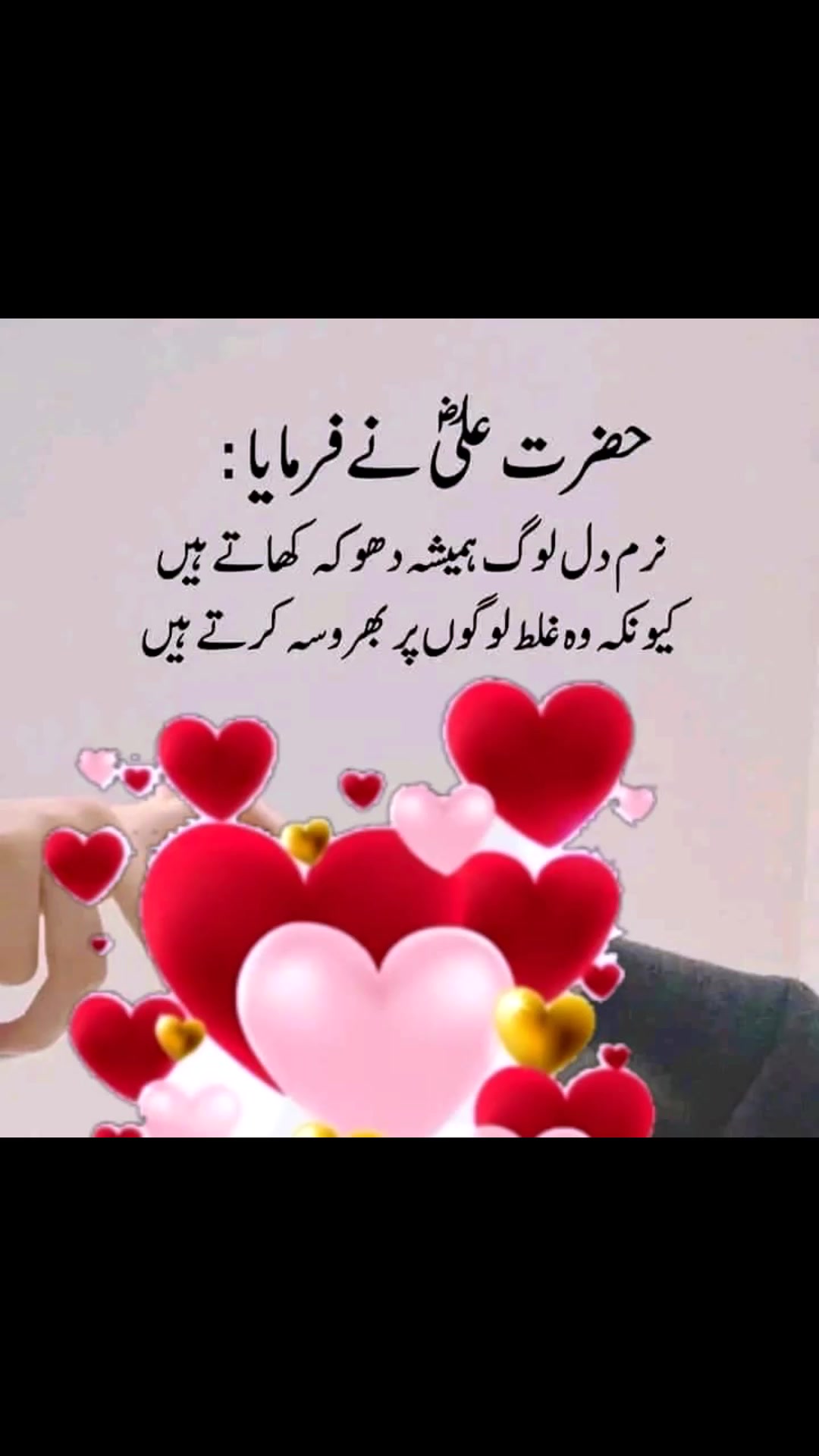 @Amin/Dogar