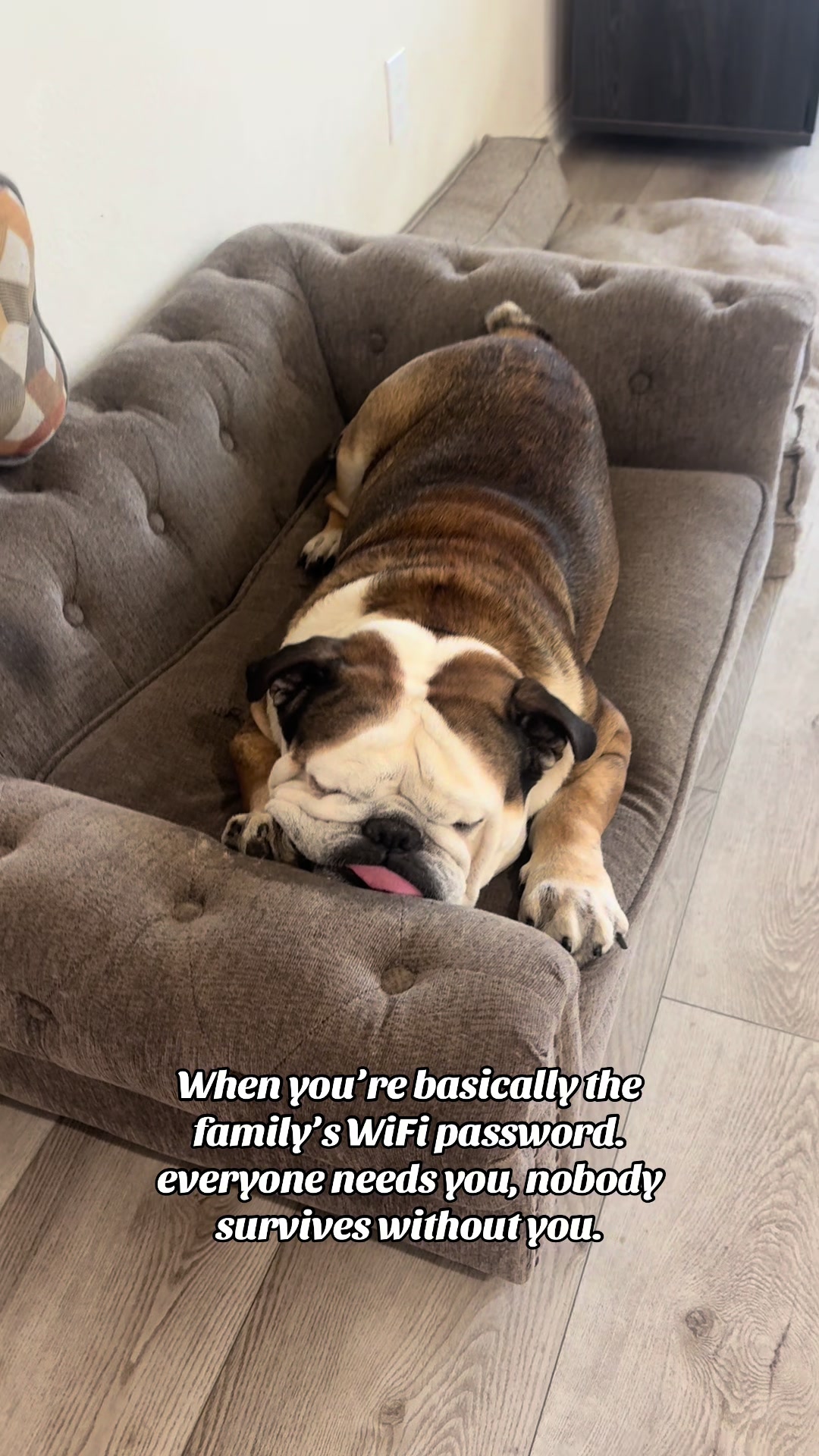 @Taco 🐶🧿