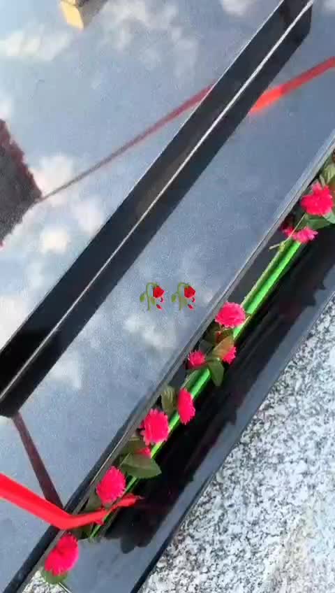 @XG845