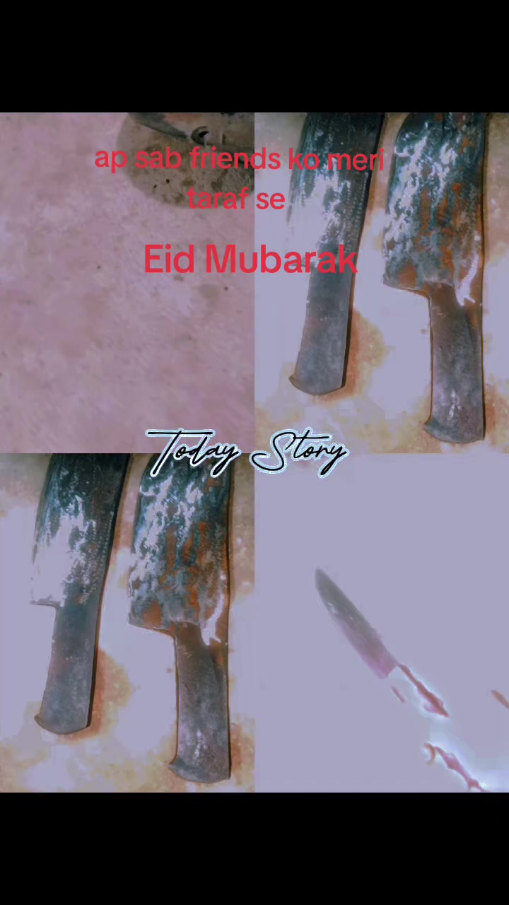 @🌹🌹sindhi Sanam Gul🌹🌹