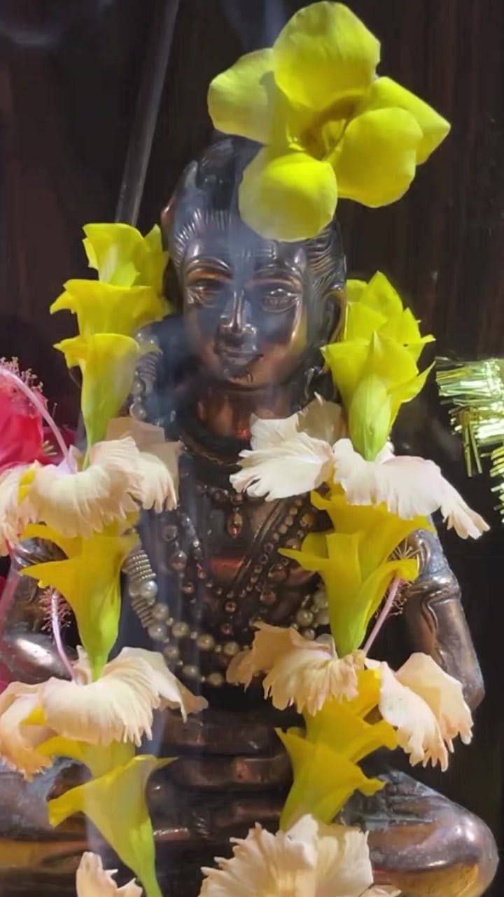 @๐ฉ Jay Mata di ๐ฉ๐๐ฑ