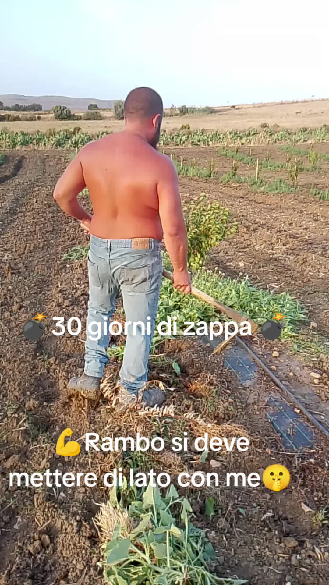 @Stefano Zagara