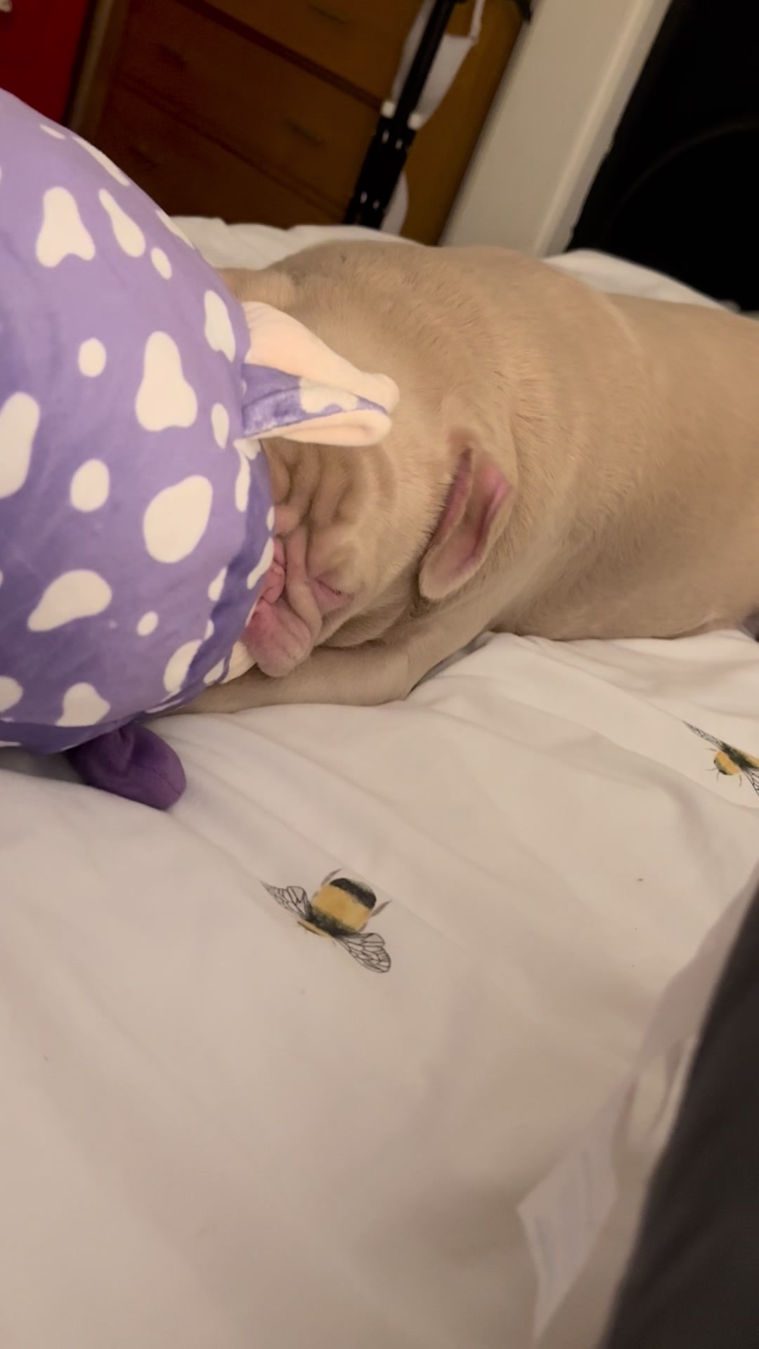 @pinkpugrufus