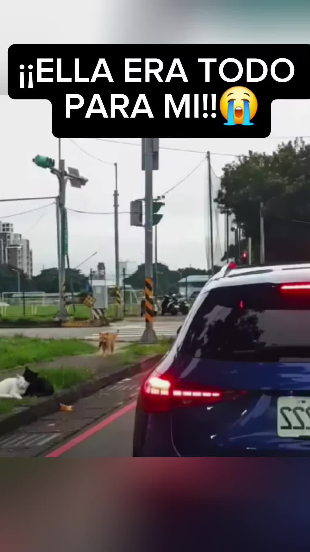 @EL POLICÍA 👮♂️