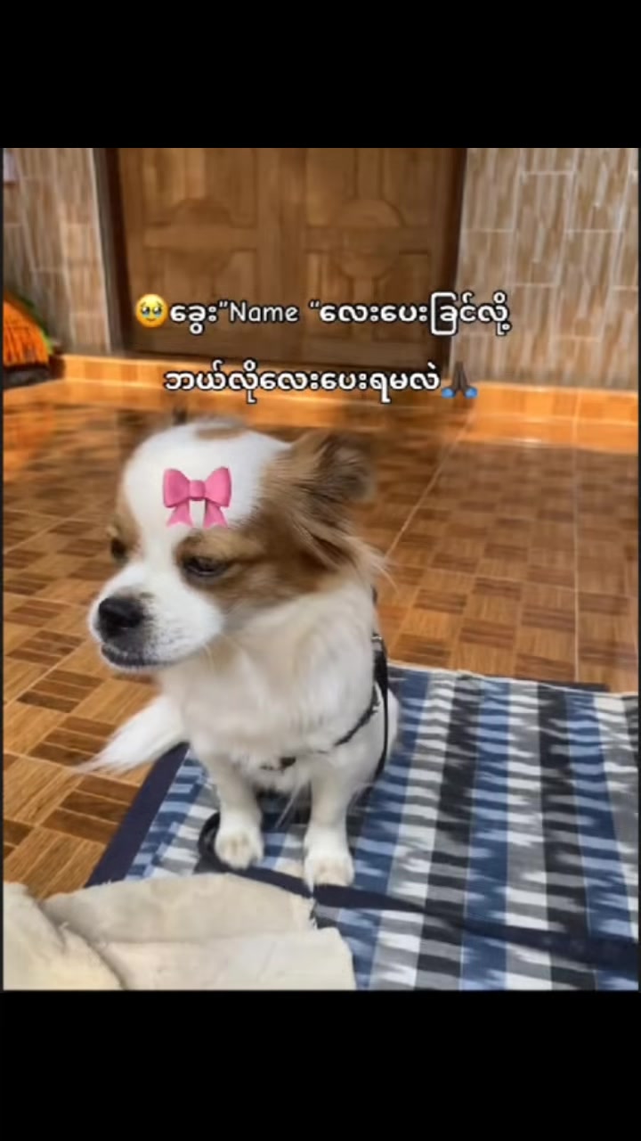@မောင်"🧸: