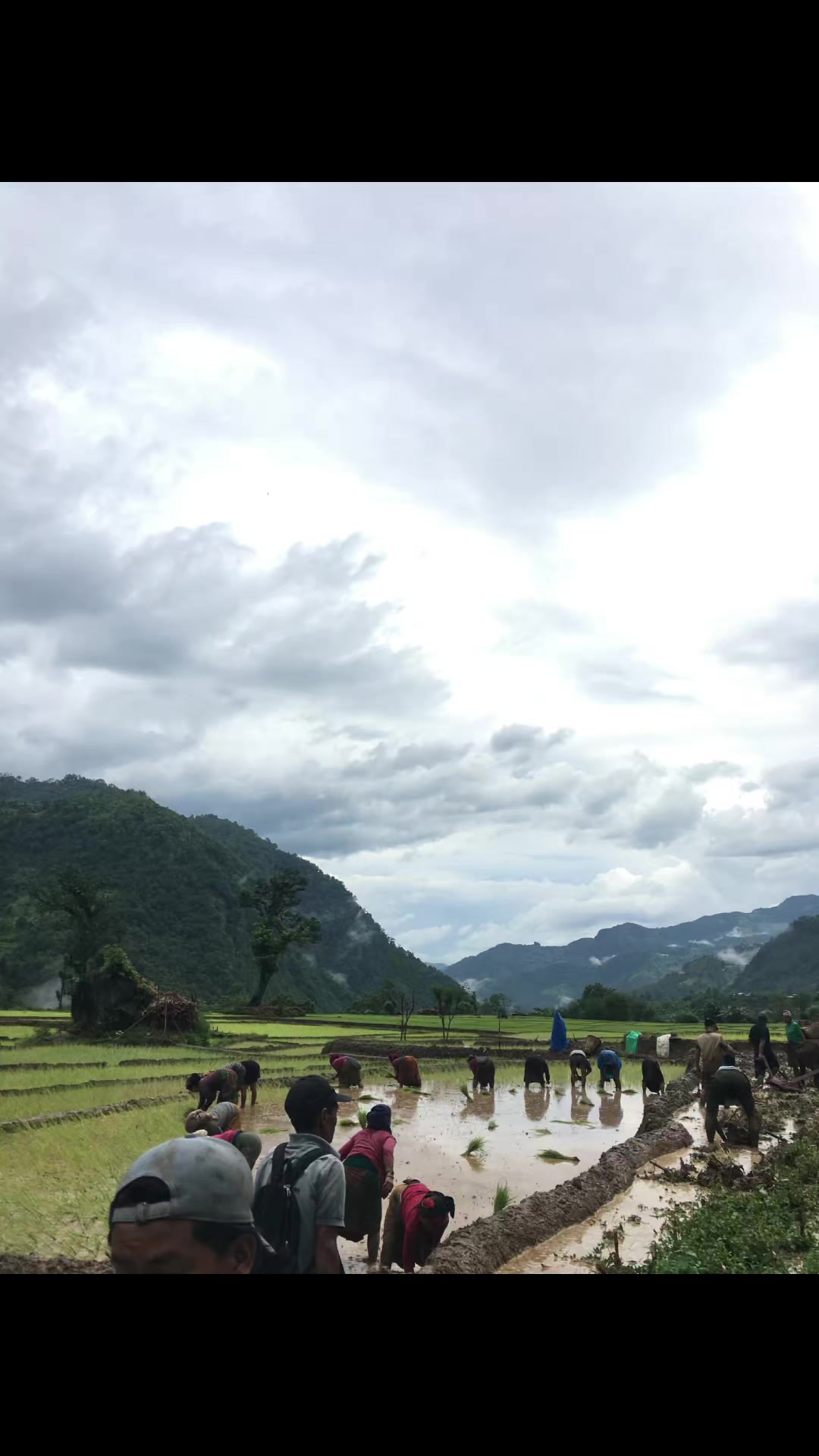 @सन्ध्या थापा मगर